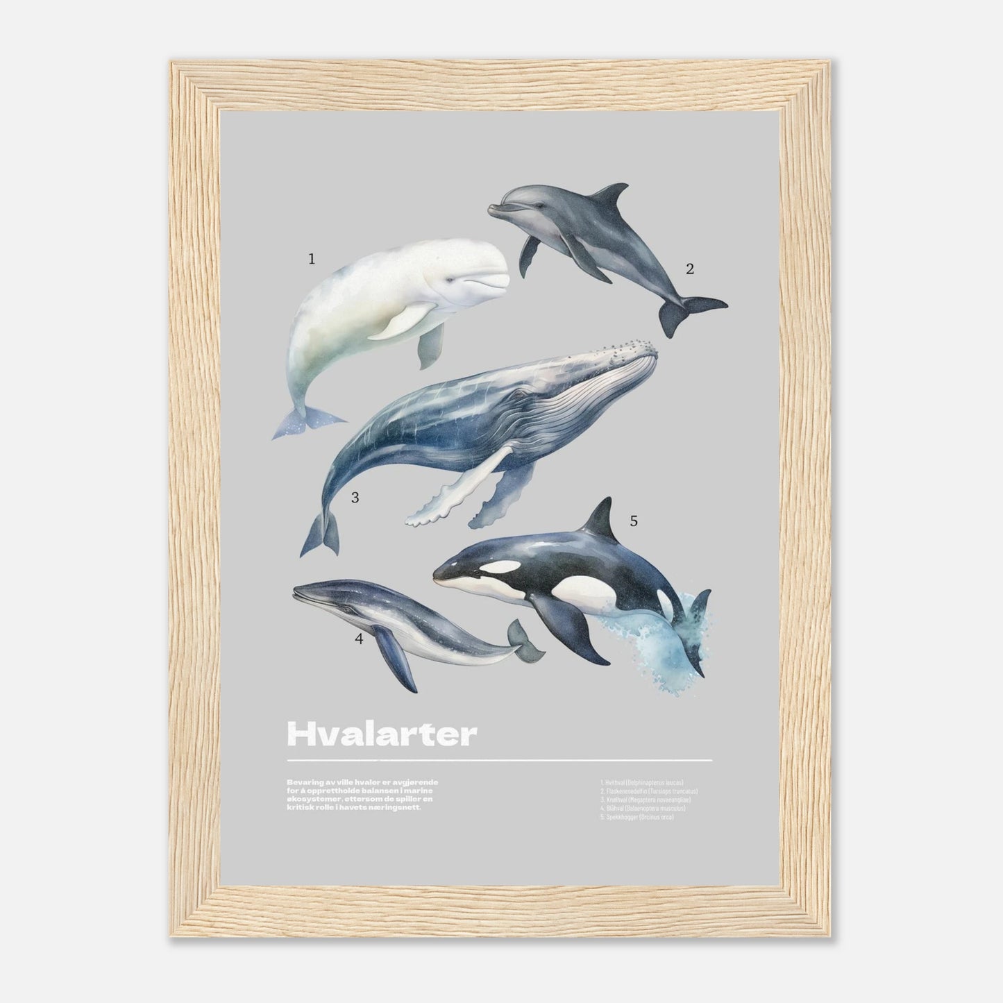 0610db60-2ae9-47b6-8556-f710abdf26da