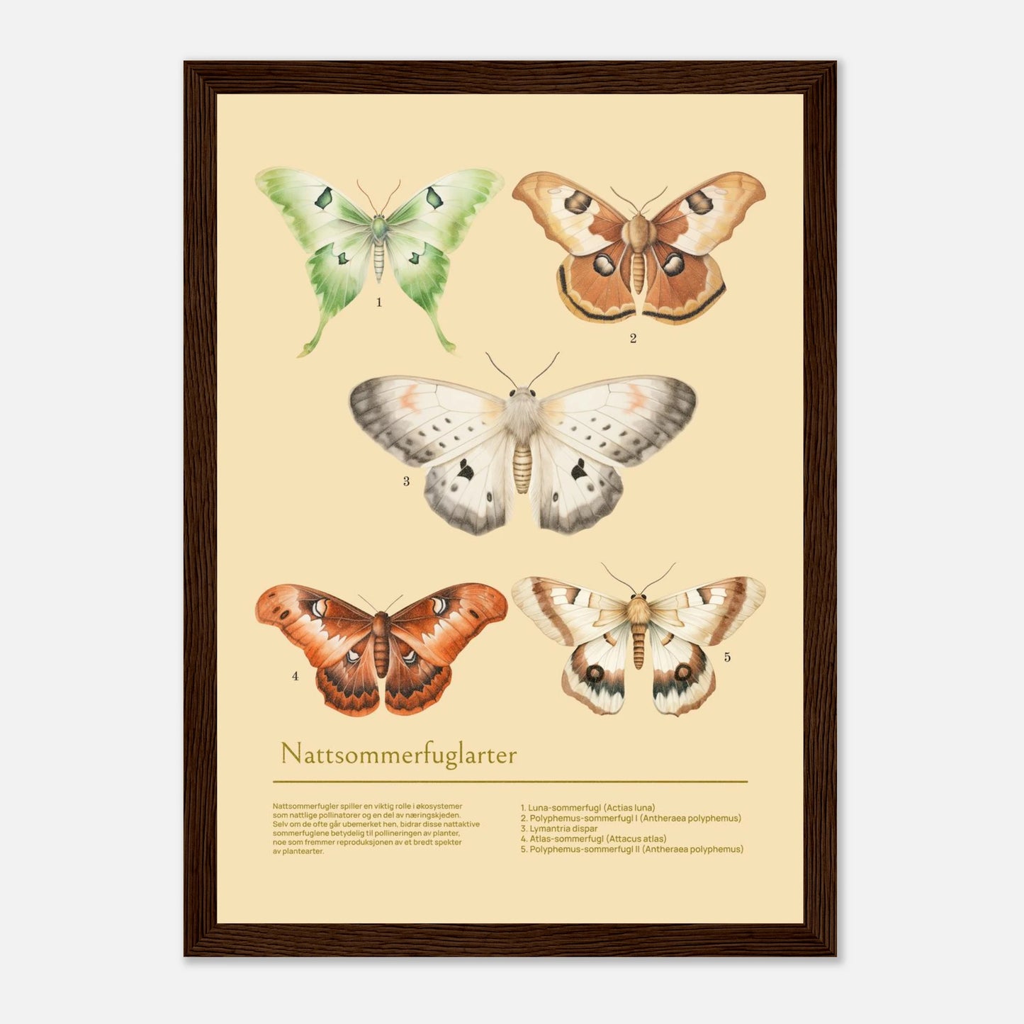 09a34425-78c7-4bd5-8d75-dfbc656a277e