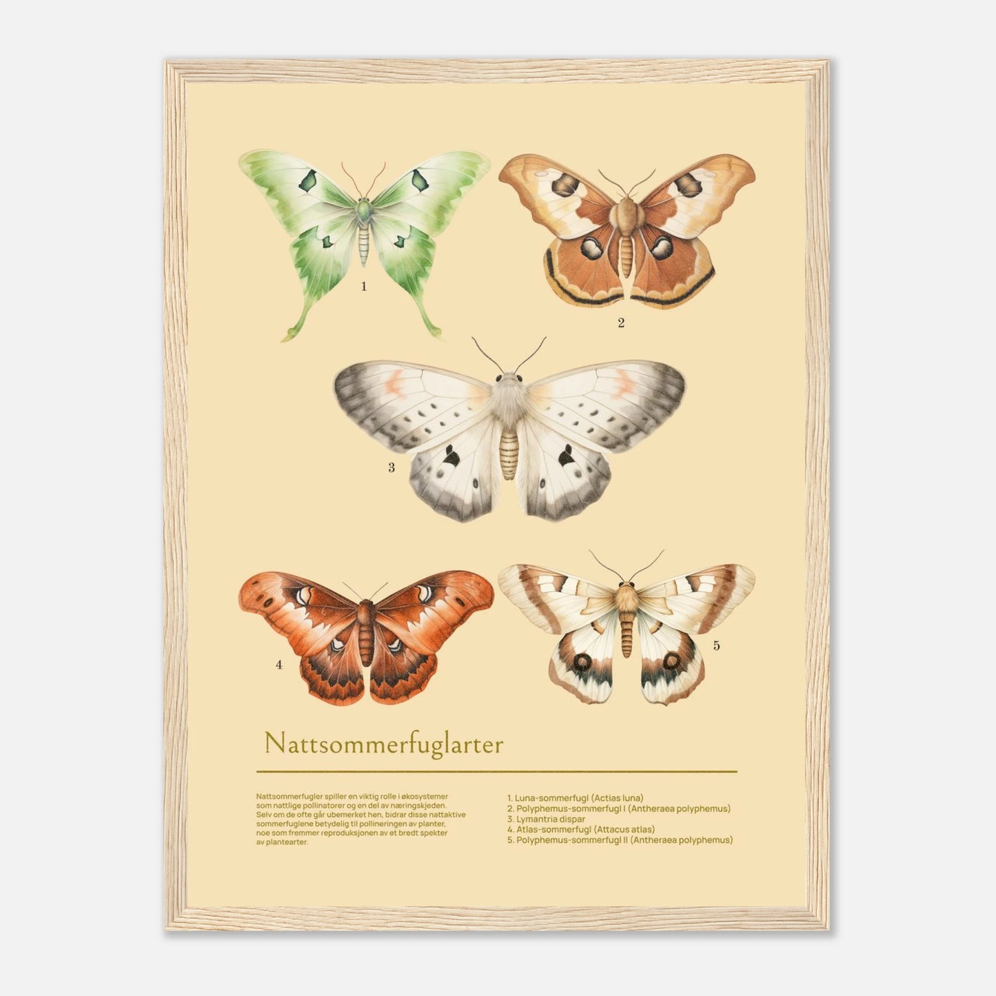 0eefda0d-c67e-42c0-9172-742a1b09254e