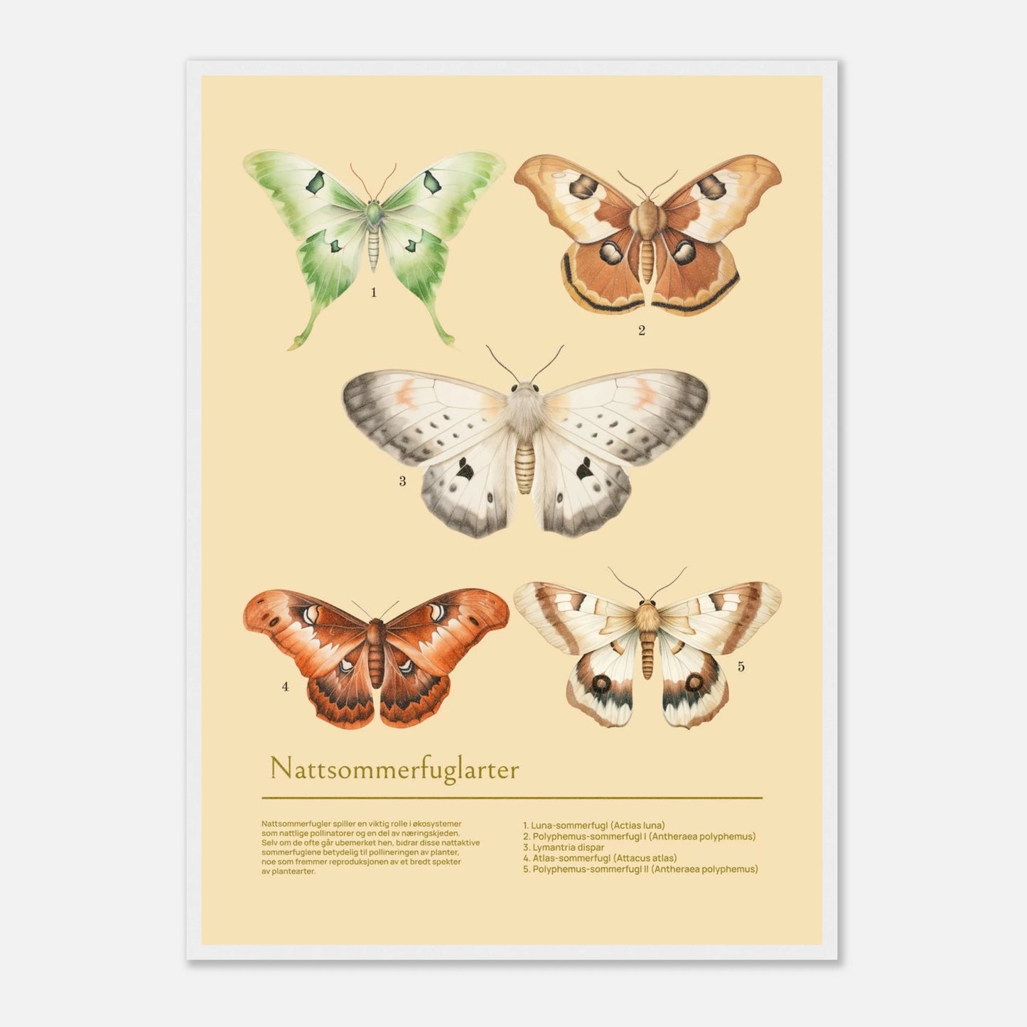 0f3bf60c-1869-4f1d-a1df-8bbadf4ccc3f