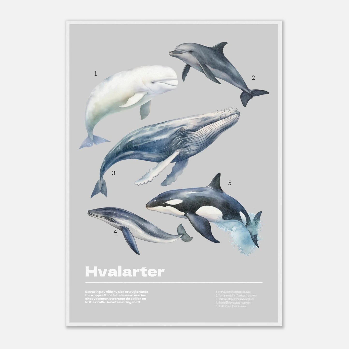 1cb2933b-e35c-431d-88f4-a369bd92f61a