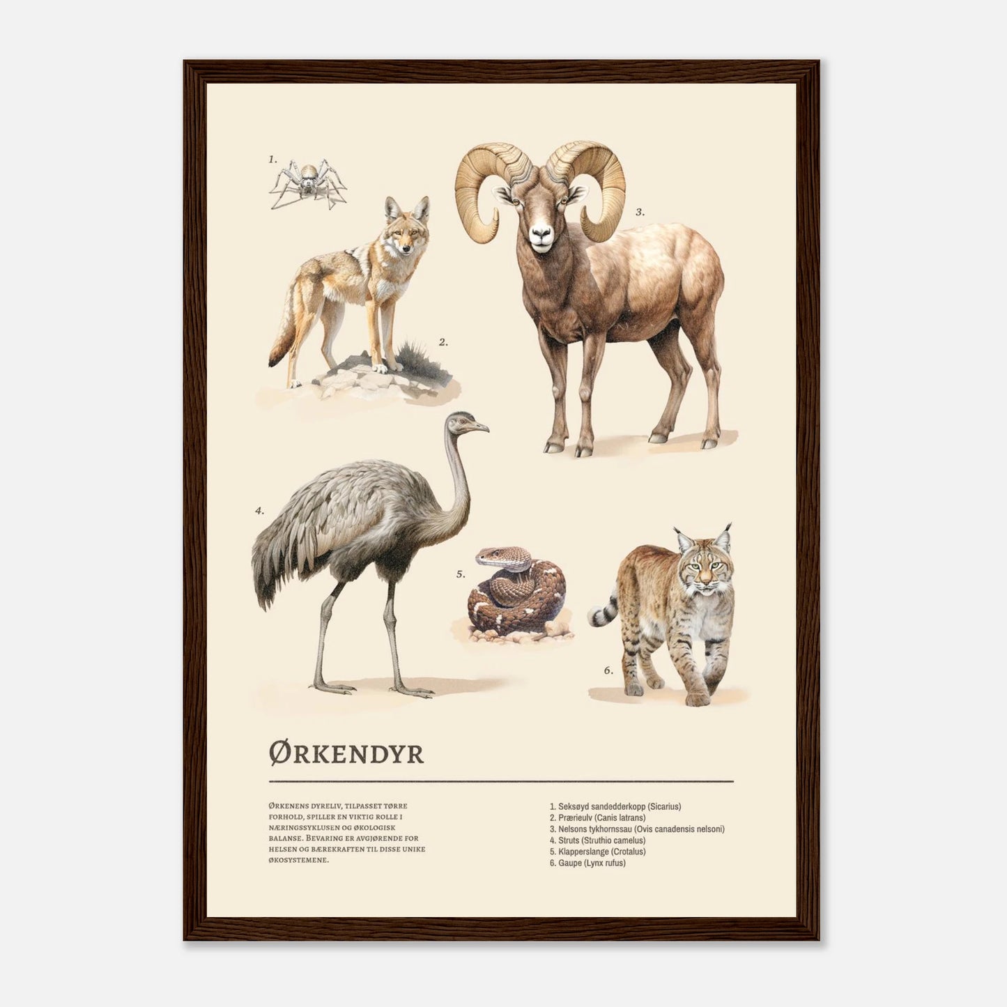 1e701fa3-1e66-4c2c-afd5-777a684dc9e3