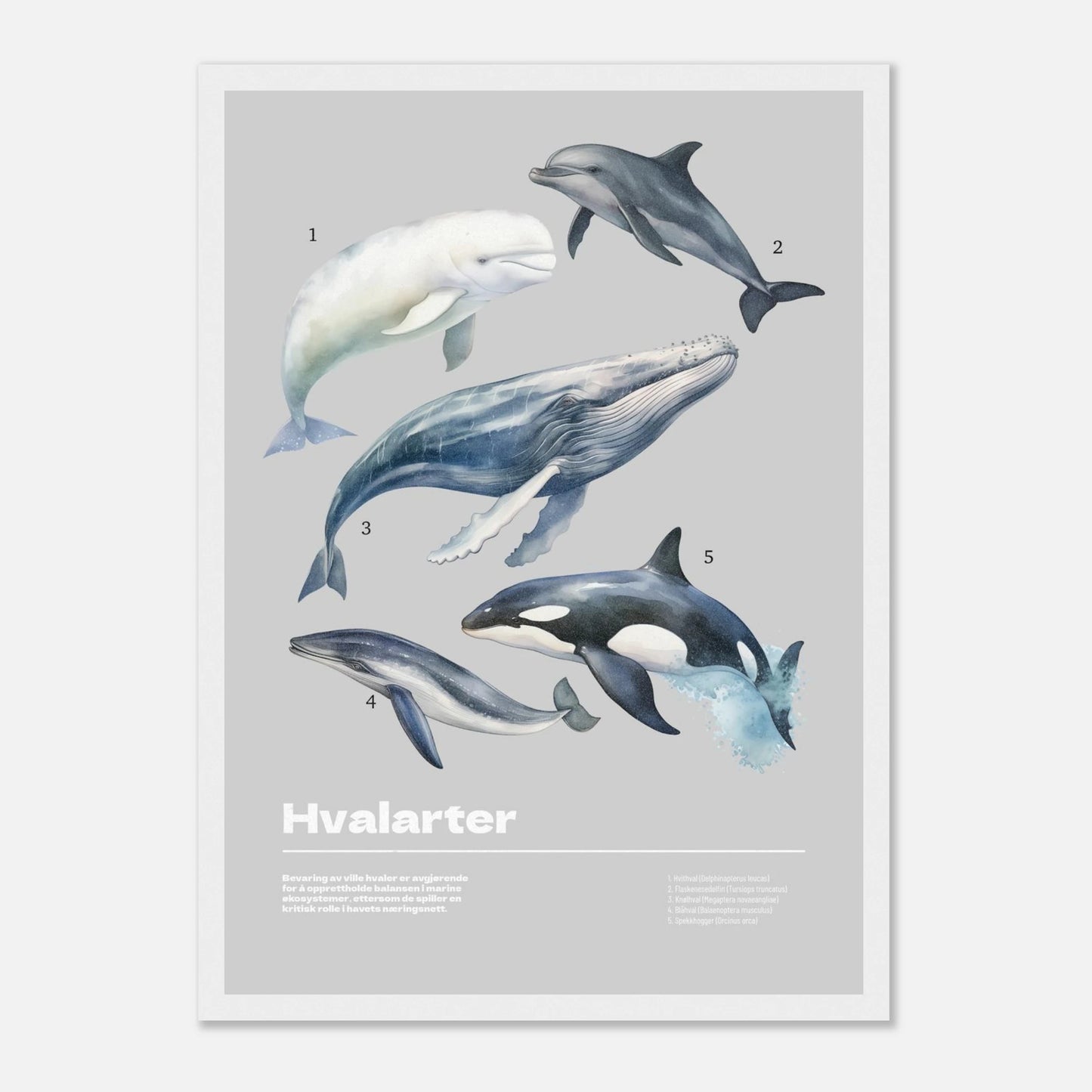 1f9ab783-a537-471c-9135-f148dfd2b857