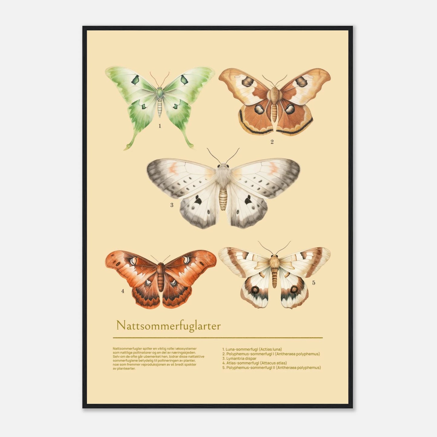 207550a0-81d2-43ab-9fd4-eaf1c0b16531