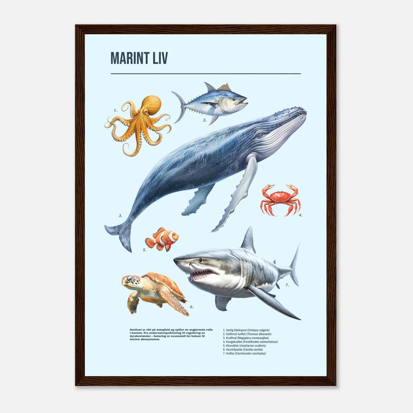 2b6a219b-6e5b-4b81-8bc2-add33537359e