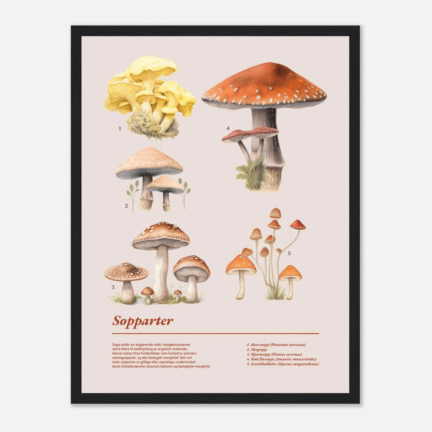 32ab982b-b5e4-4691-9f59-1547c3750366