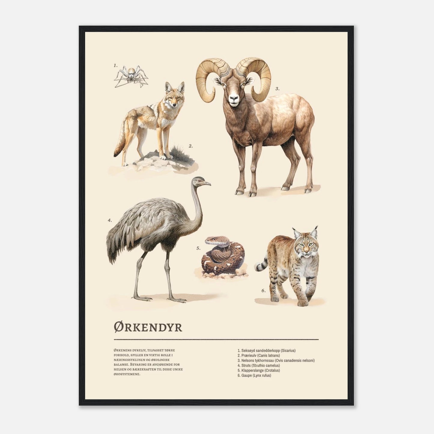 3432ece3-9fde-4395-bfc3-c351074dc0ca