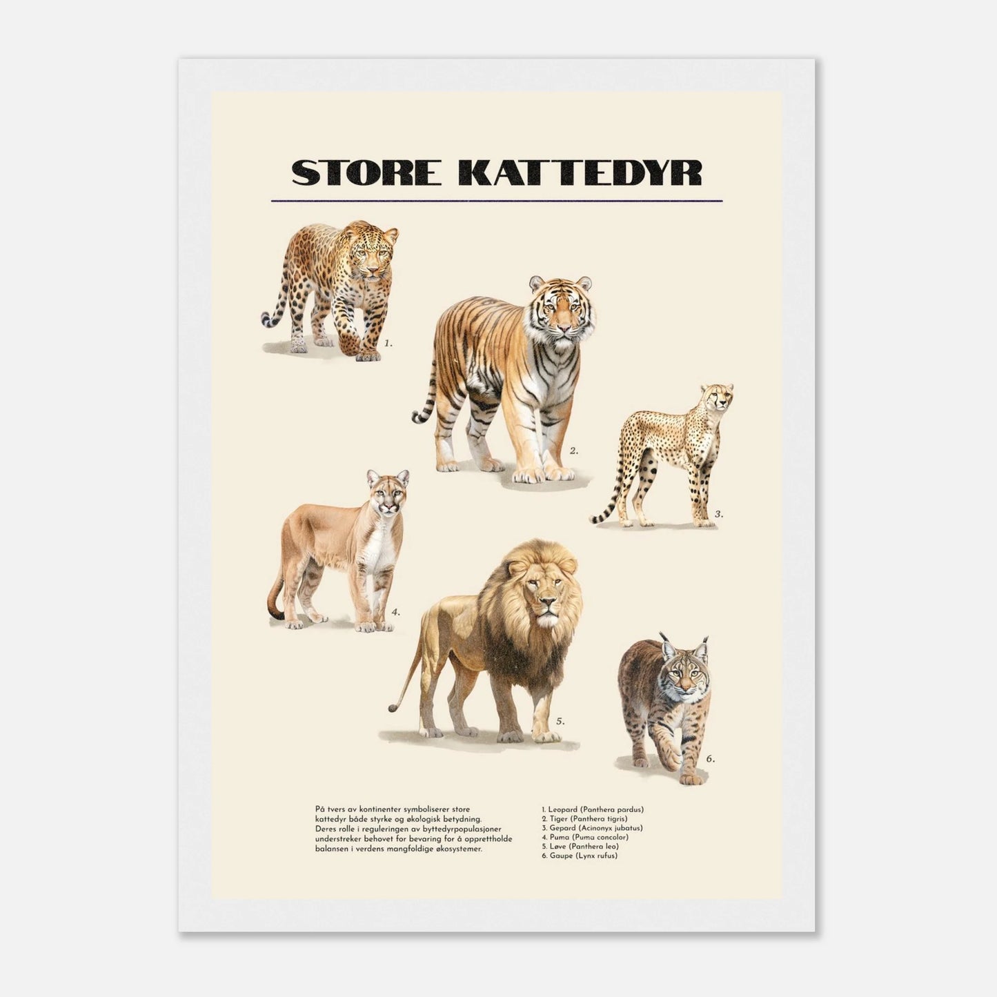 37b31d9f-5c8d-428f-9cb3-36734ebb8dfe