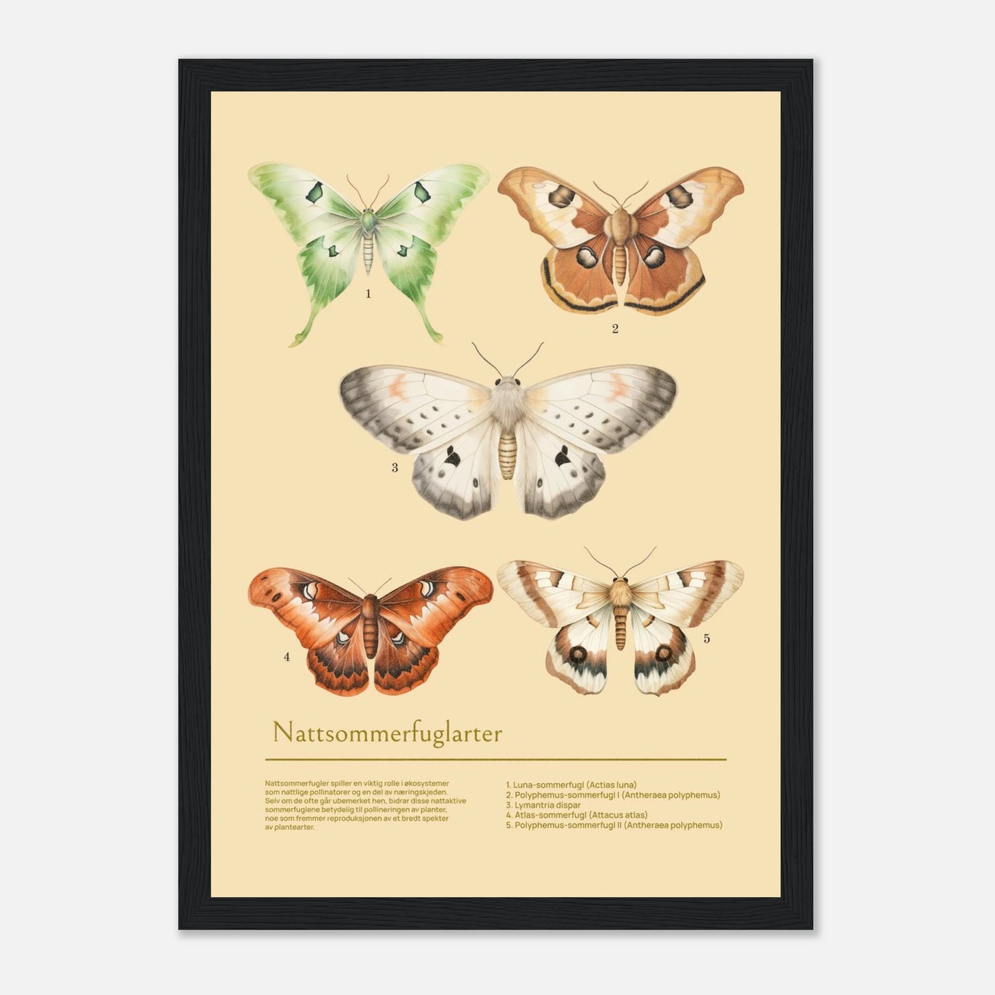 385c05e7-40b6-42fe-9507-f86778df1cb0