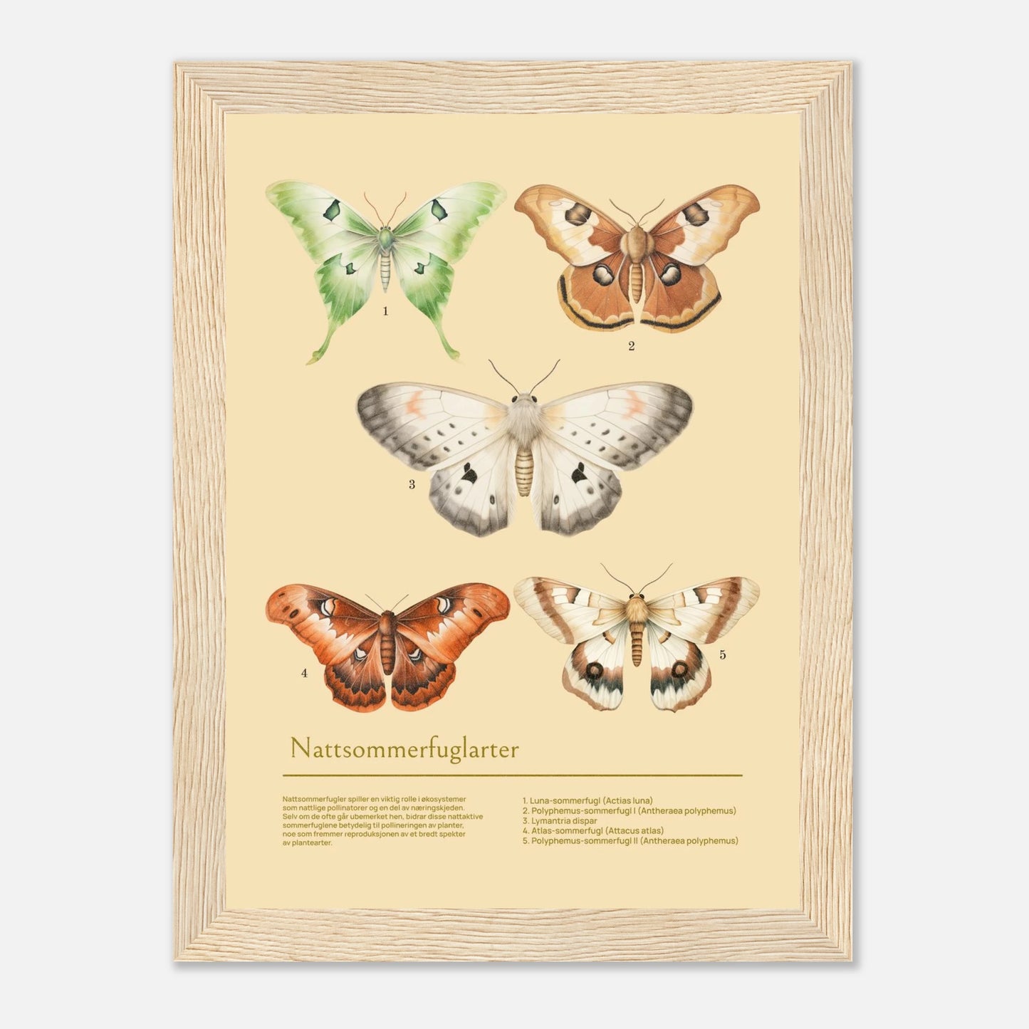 3ad93c1c-7c24-4c60-bc36-5ebb5b3c57bd