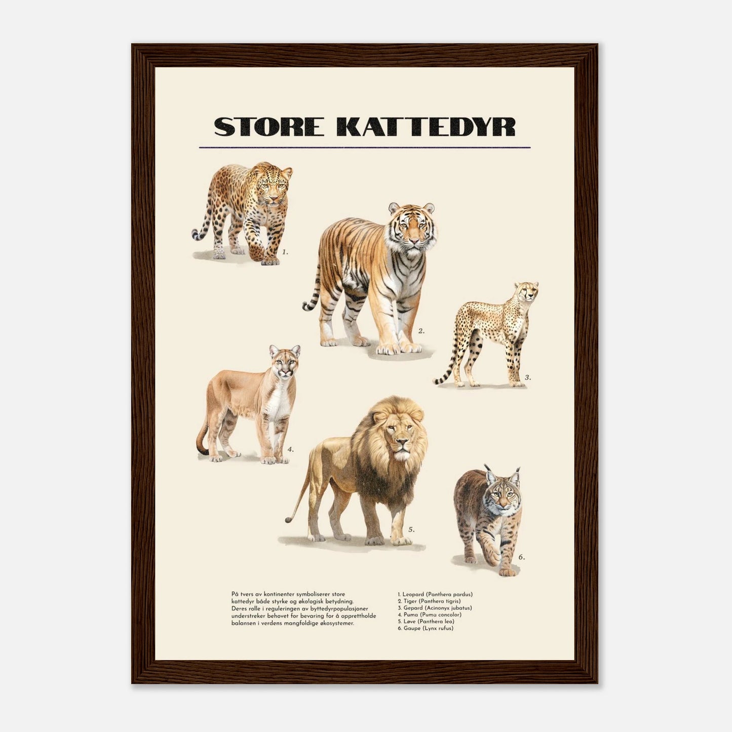 3b4252d1-d59e-4233-9b04-a00bb3af567b