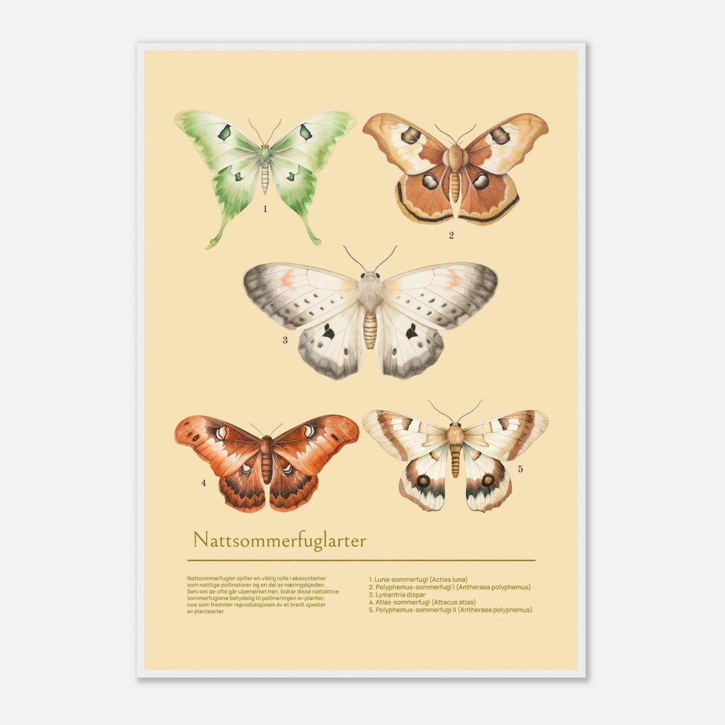 3e375bfe-9a64-4940-b518-47026c6d6c0a