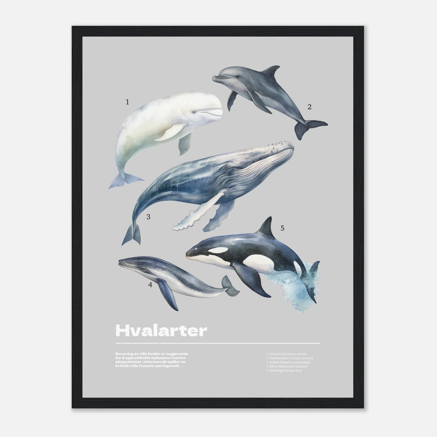 41cc91fb-fad7-4dda-841b-491879ef319a