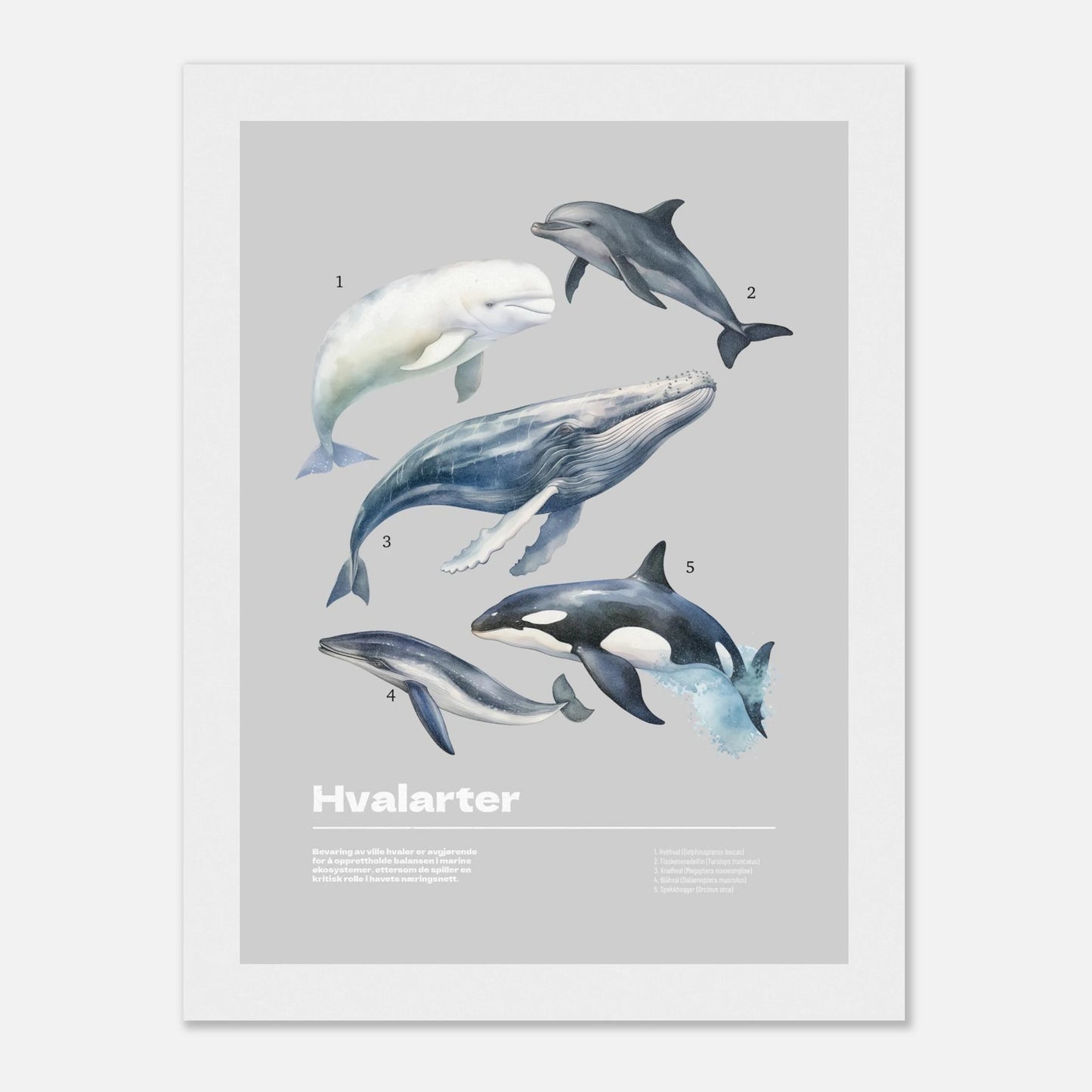 427593e8-dde8-48e1-b1d3-72303531bb85