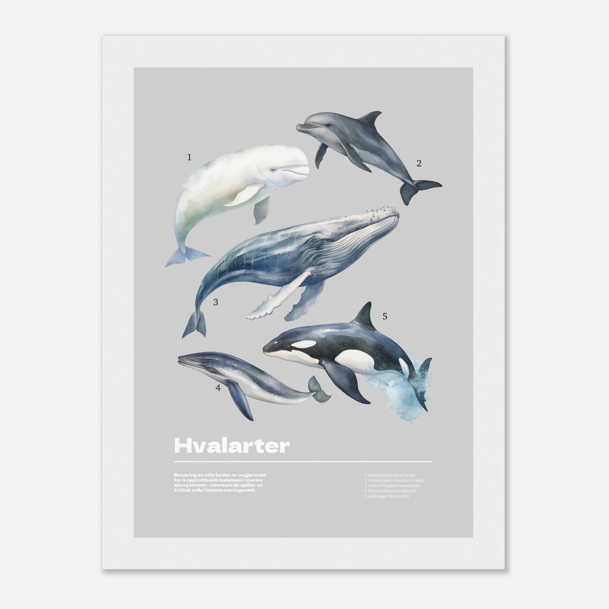 427593e8-dde8-48e1-b1d3-72303531bb85