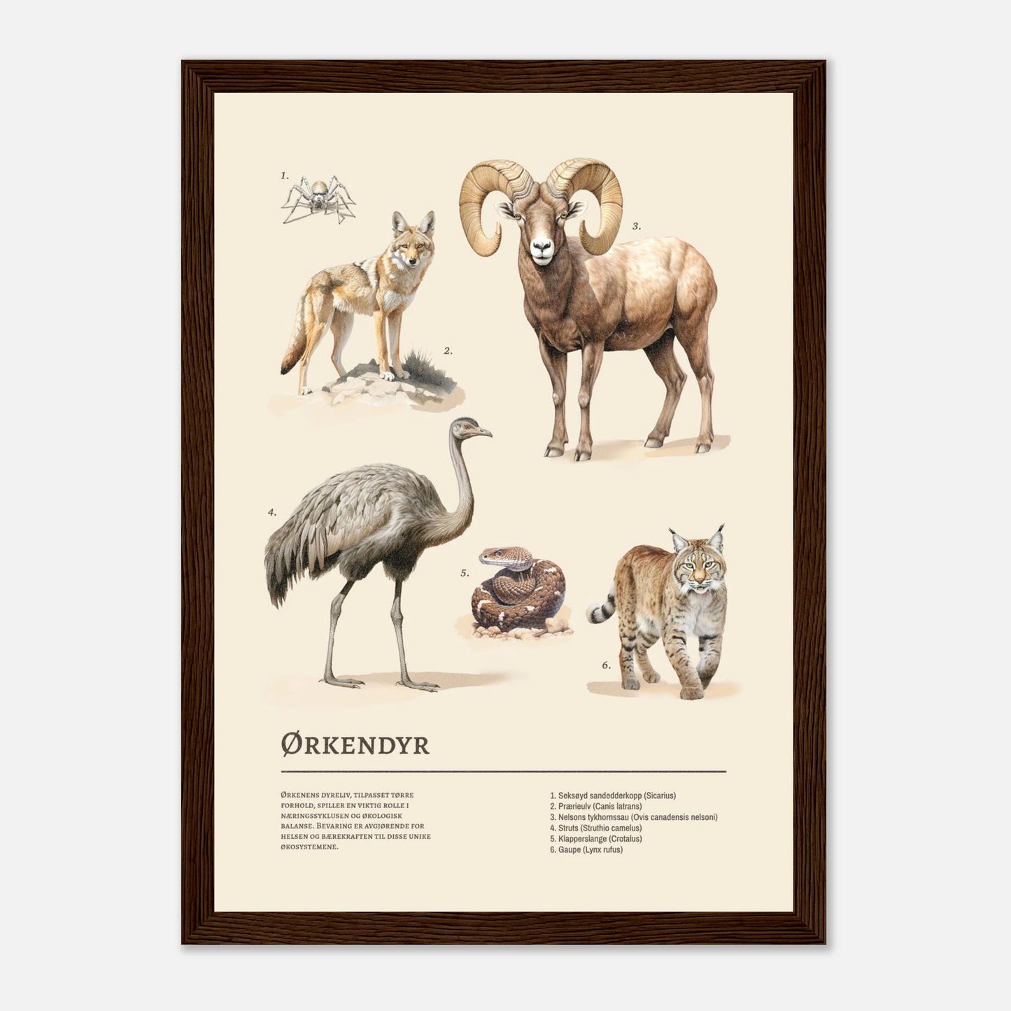 49ded3f8-1009-422c-9dbe-af4caa09ef9e