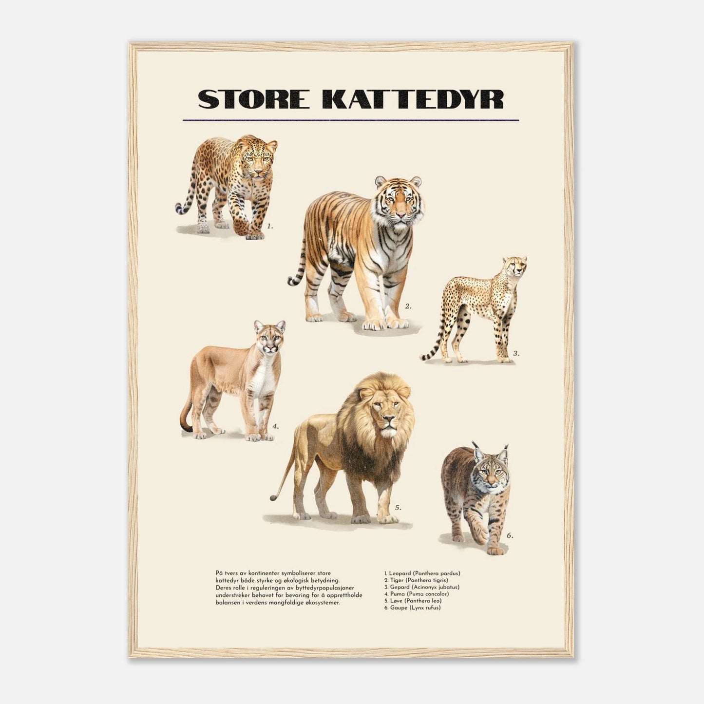 4b016c89-dc20-4c5c-a3d1-e529b0369218