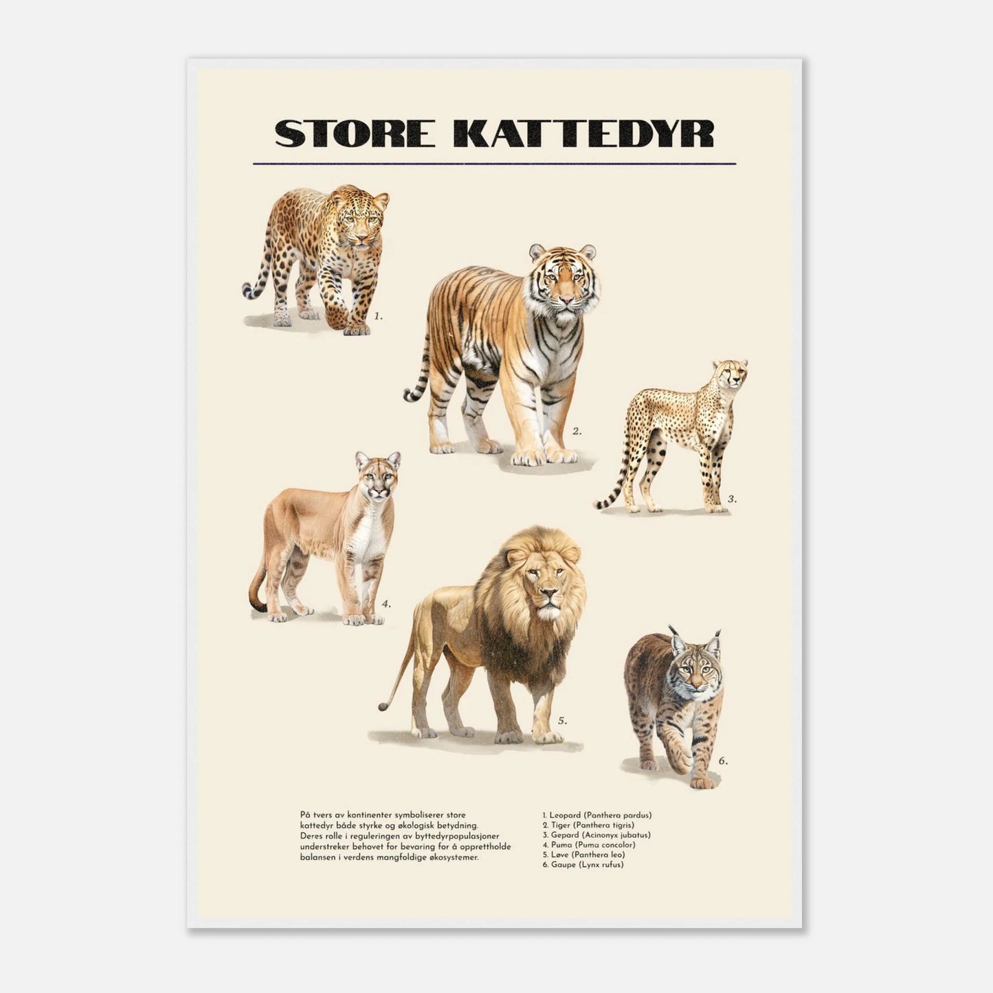 4cec304a-63f3-4cca-a915-ffb5d1e7f515