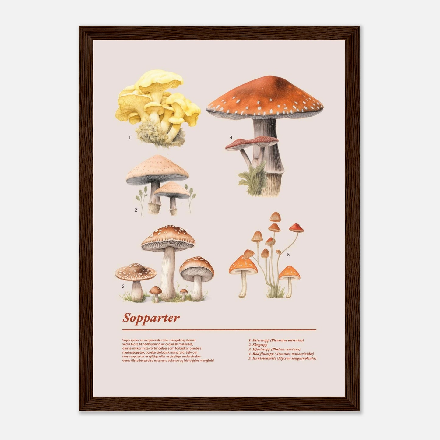 599bcc0f-5fba-48aa-ab63-0a9baa886b2a