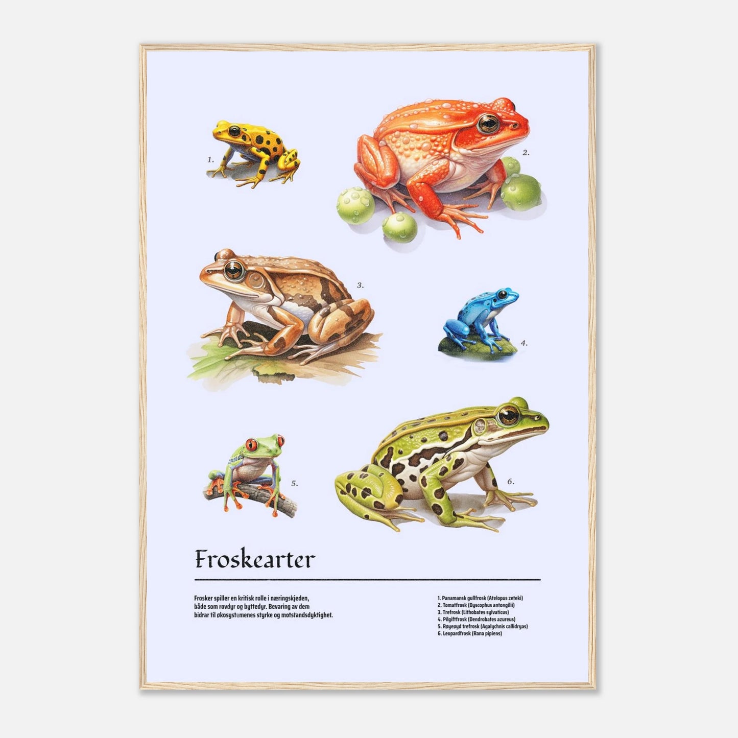 60b71593-4658-4daf-9a4d-372635b56e9b