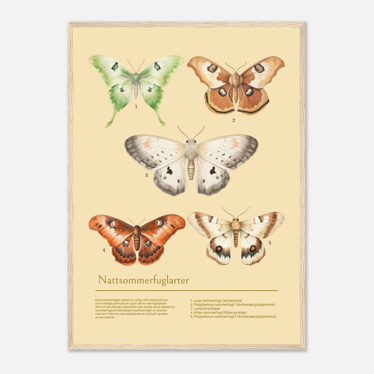 6b91564e-4251-4957-8c48-b2737bb38658