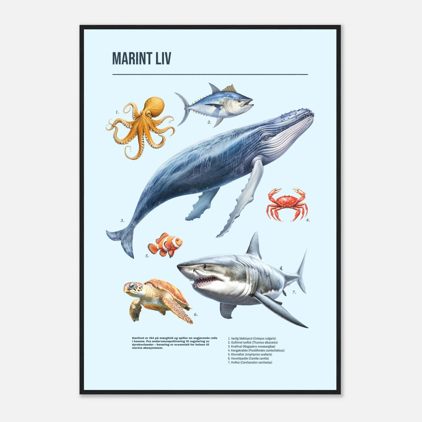 736bb4fb-7034-4e0f-8009-7f25588445ce