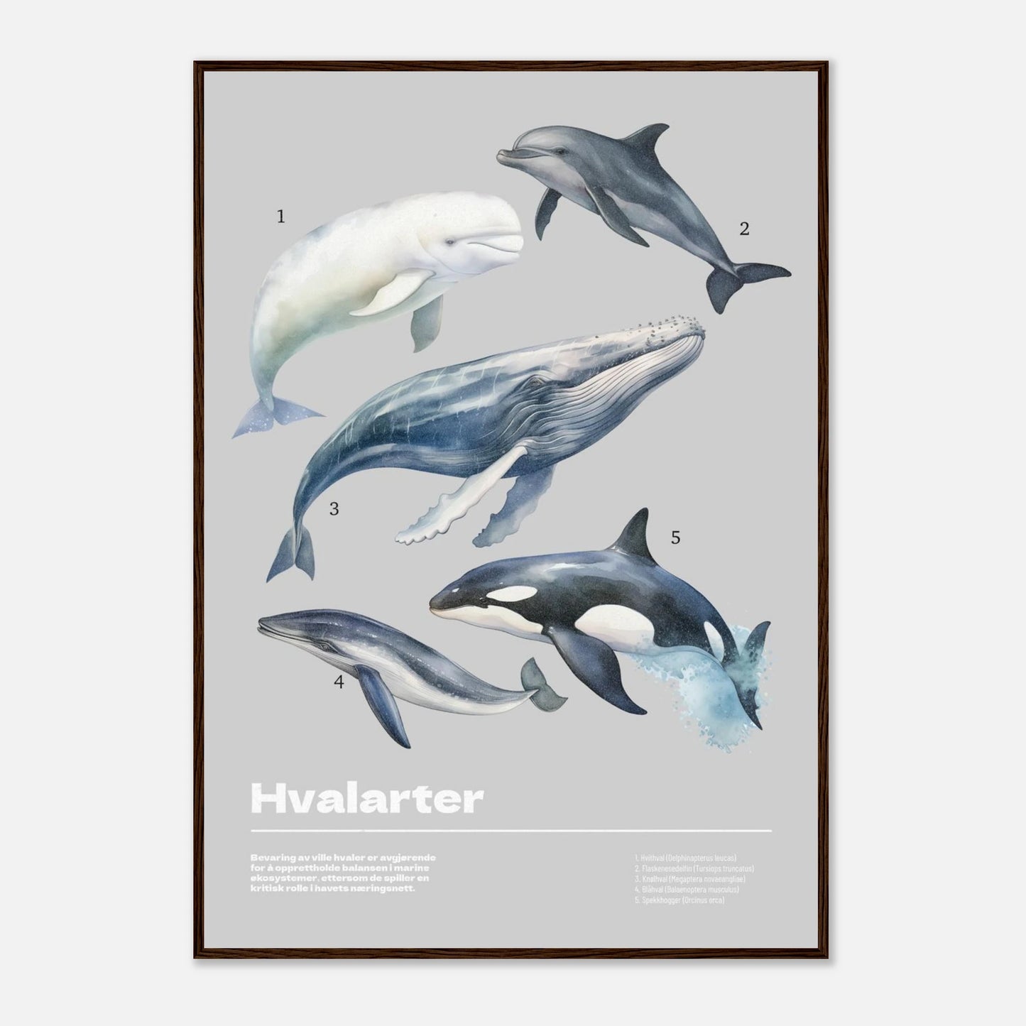 78e52cd2-0038-47ef-9fe0-ec0e07d45761