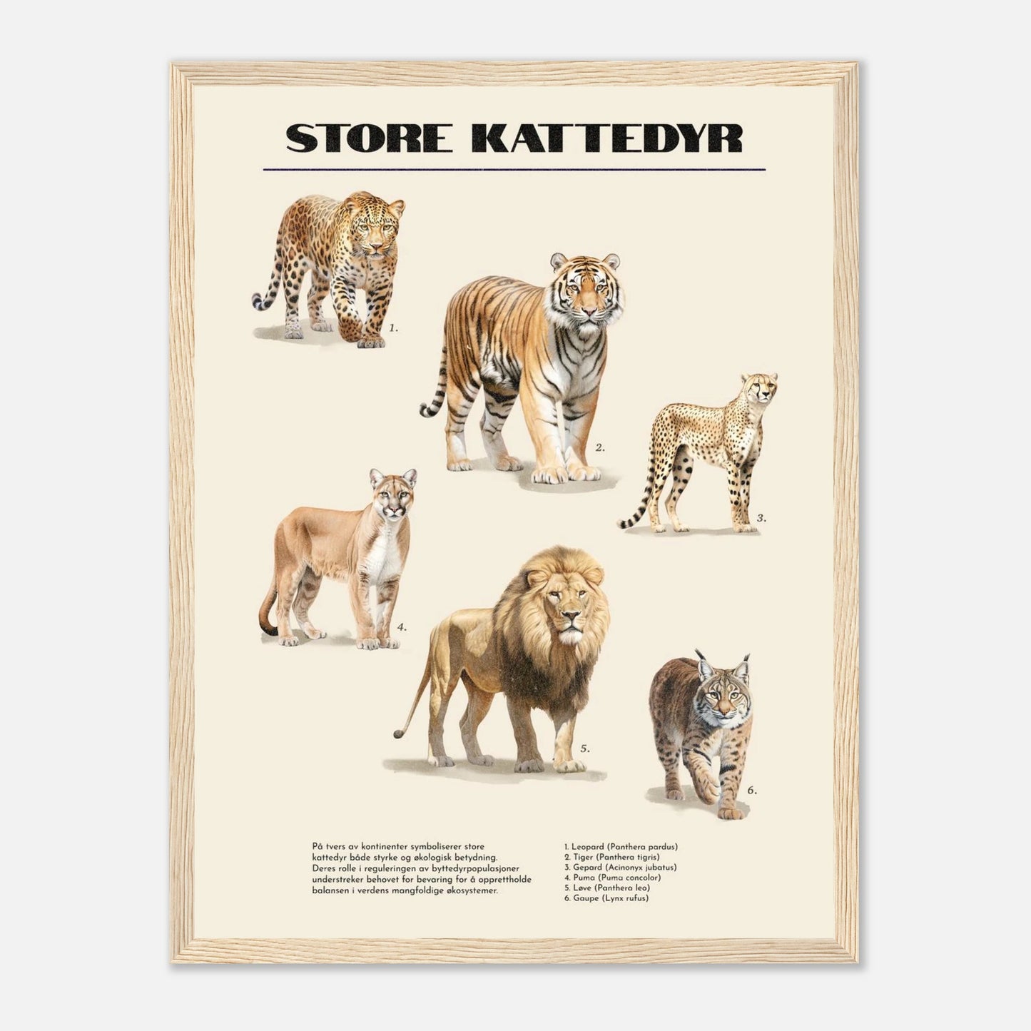 86c77e49-c336-4d81-b87d-f0b7d390883d