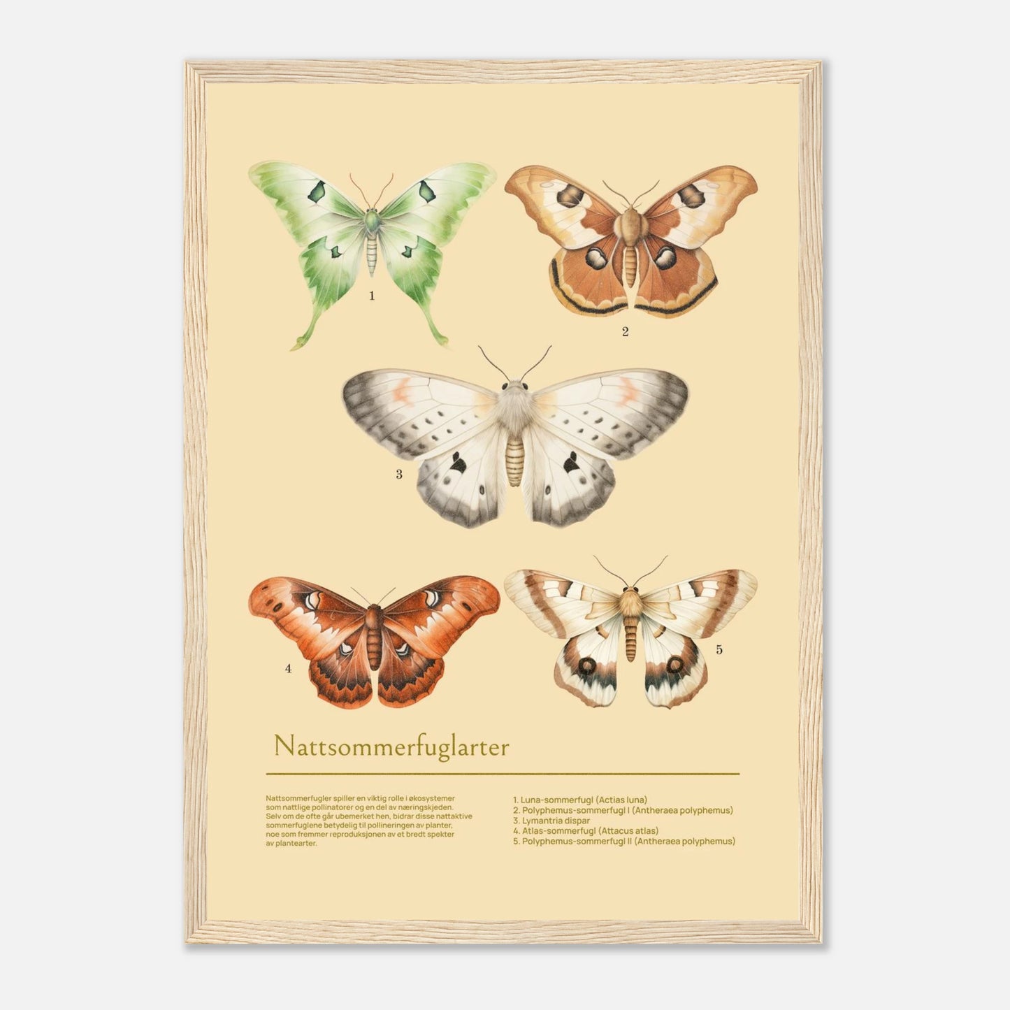 900d9ccd-1abb-4c9f-95cd-50d90b30374b