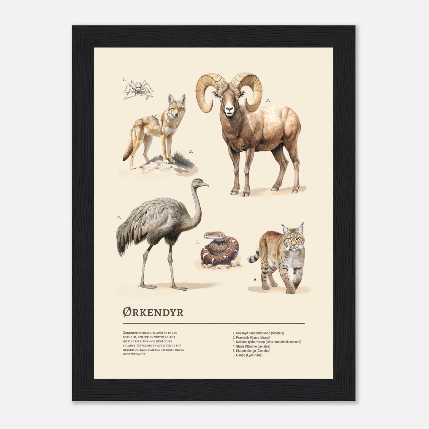 9258d331-92c4-4445-a3ca-ae3e4c3ed75e