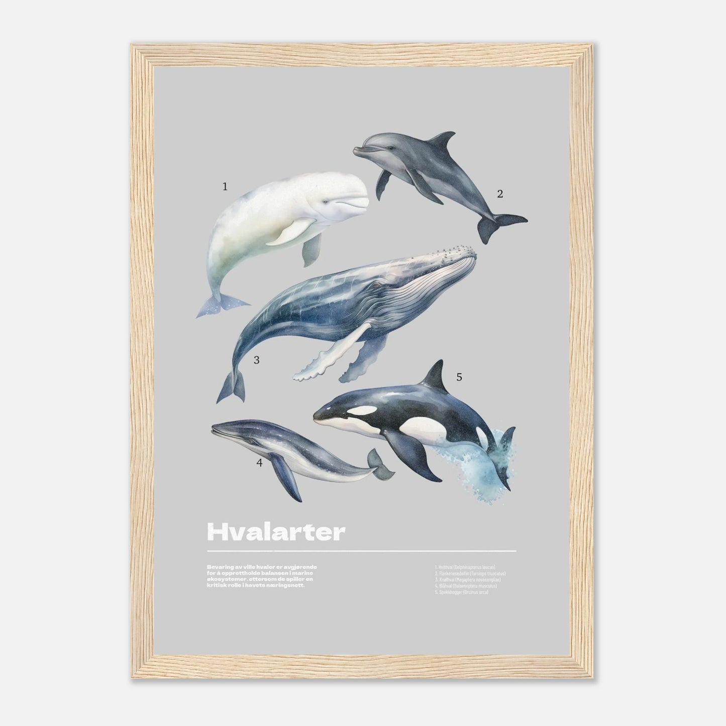 95c87e9f-d641-4747-8117-6c5e45357f63