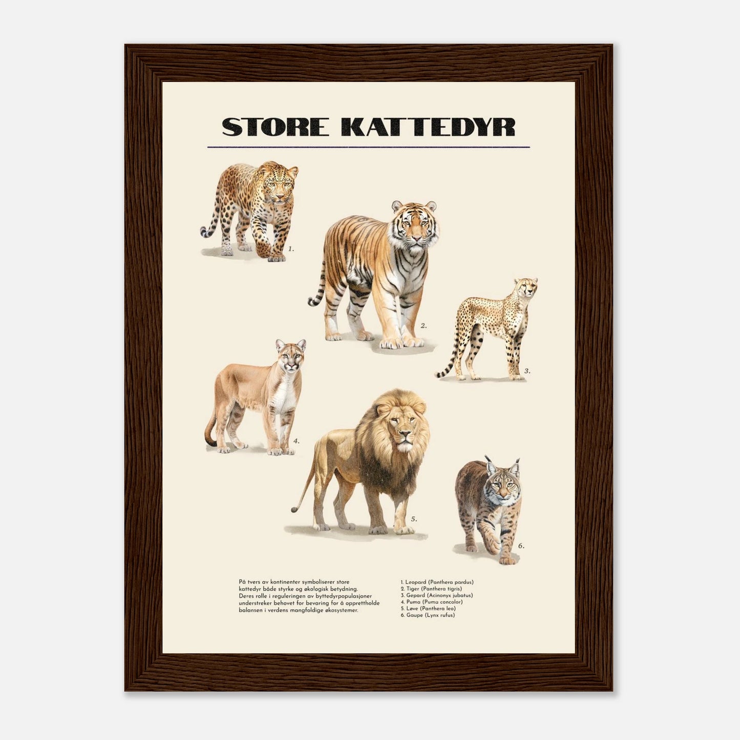 996e7a91-b496-42b5-b15e-e07d9c579225