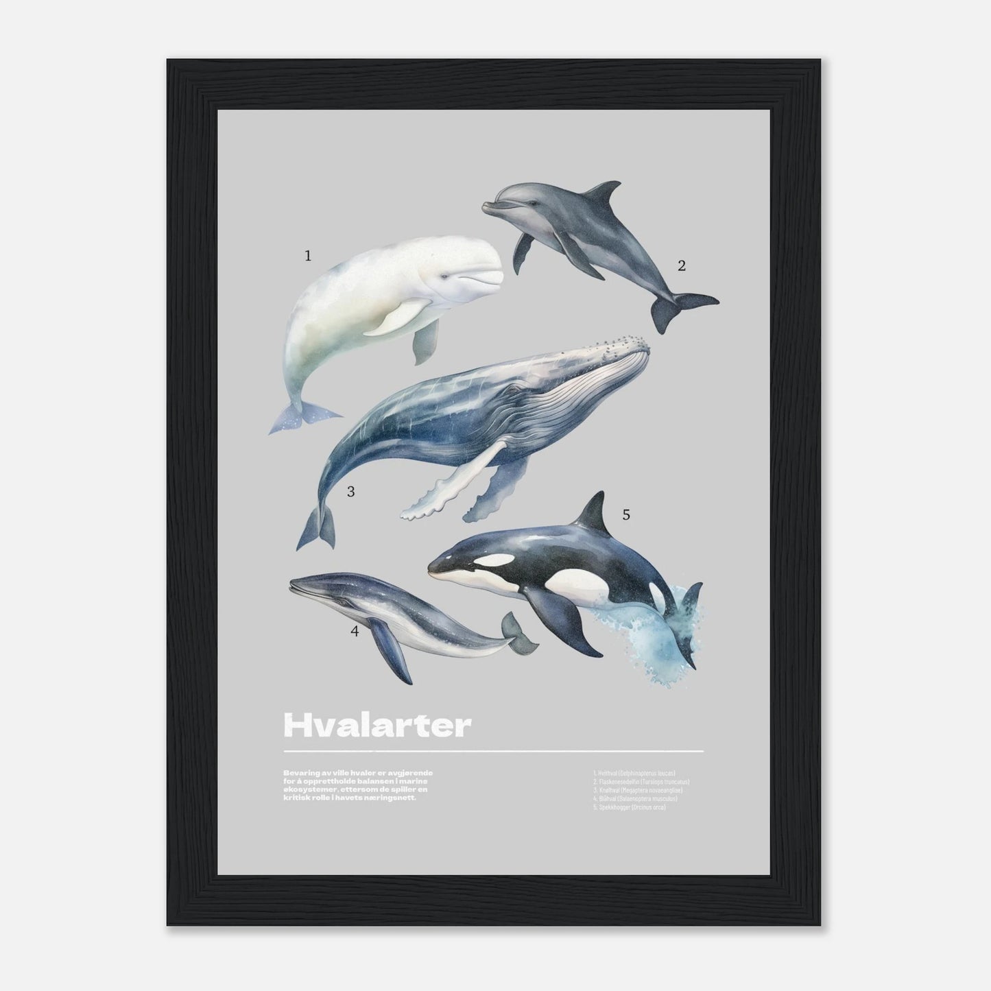 9af529d1-269f-44aa-82f2-a14f3c8cf6c9