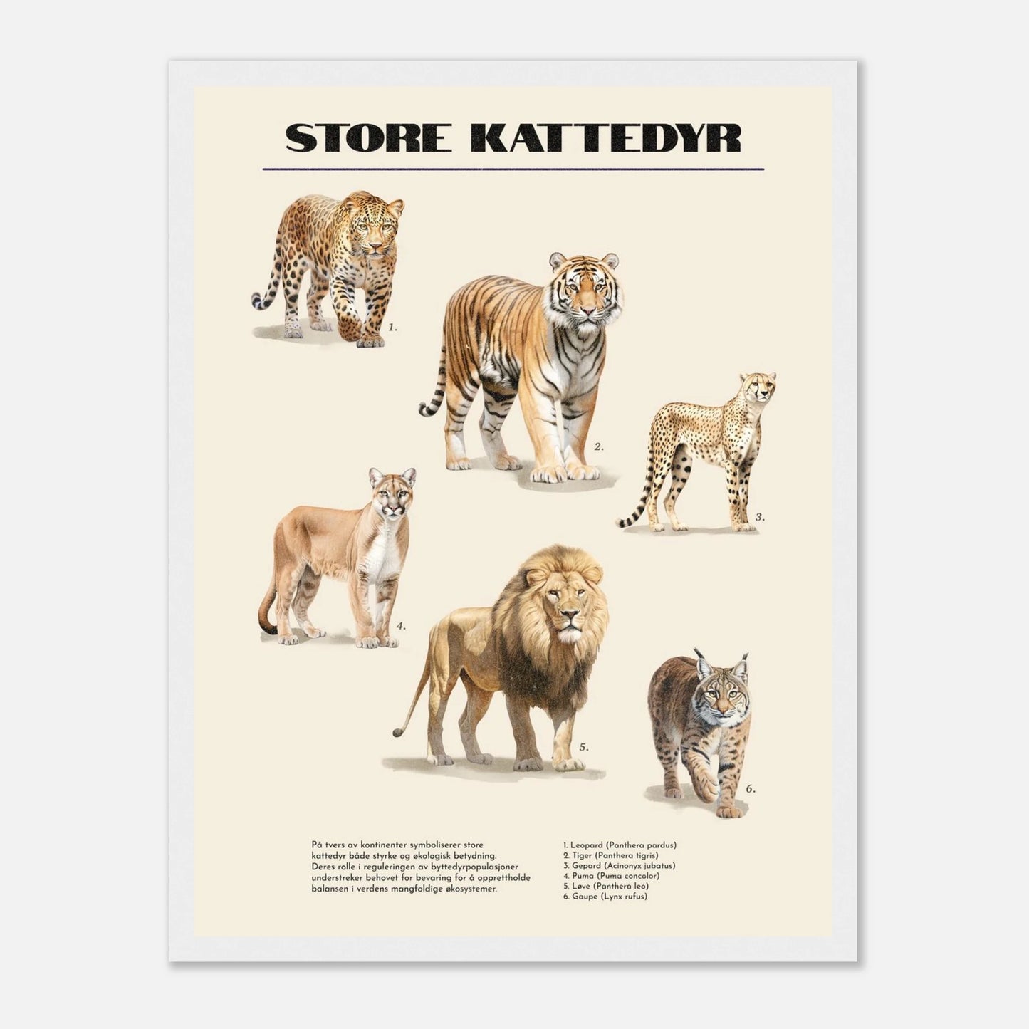 9c7fd762-bdbe-46be-b698-84f08e7129a4