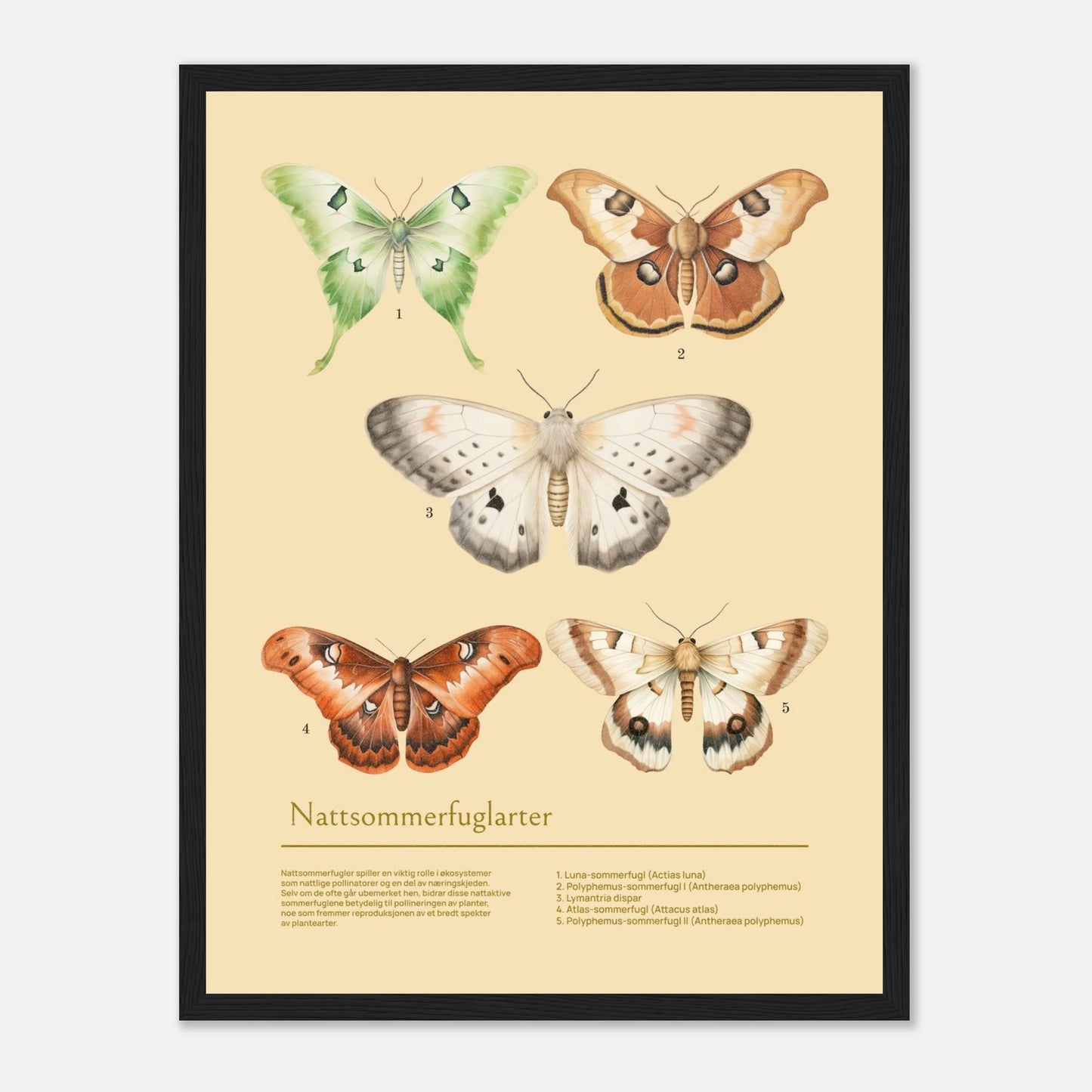 9e6b85af-e7c2-4457-9de4-6b7e14accbb4