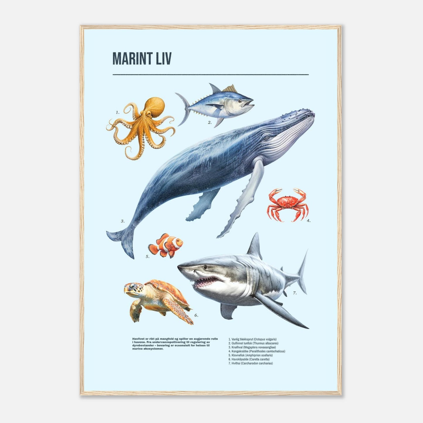 9f223eec-76da-4a57-8d65-836cb677574b