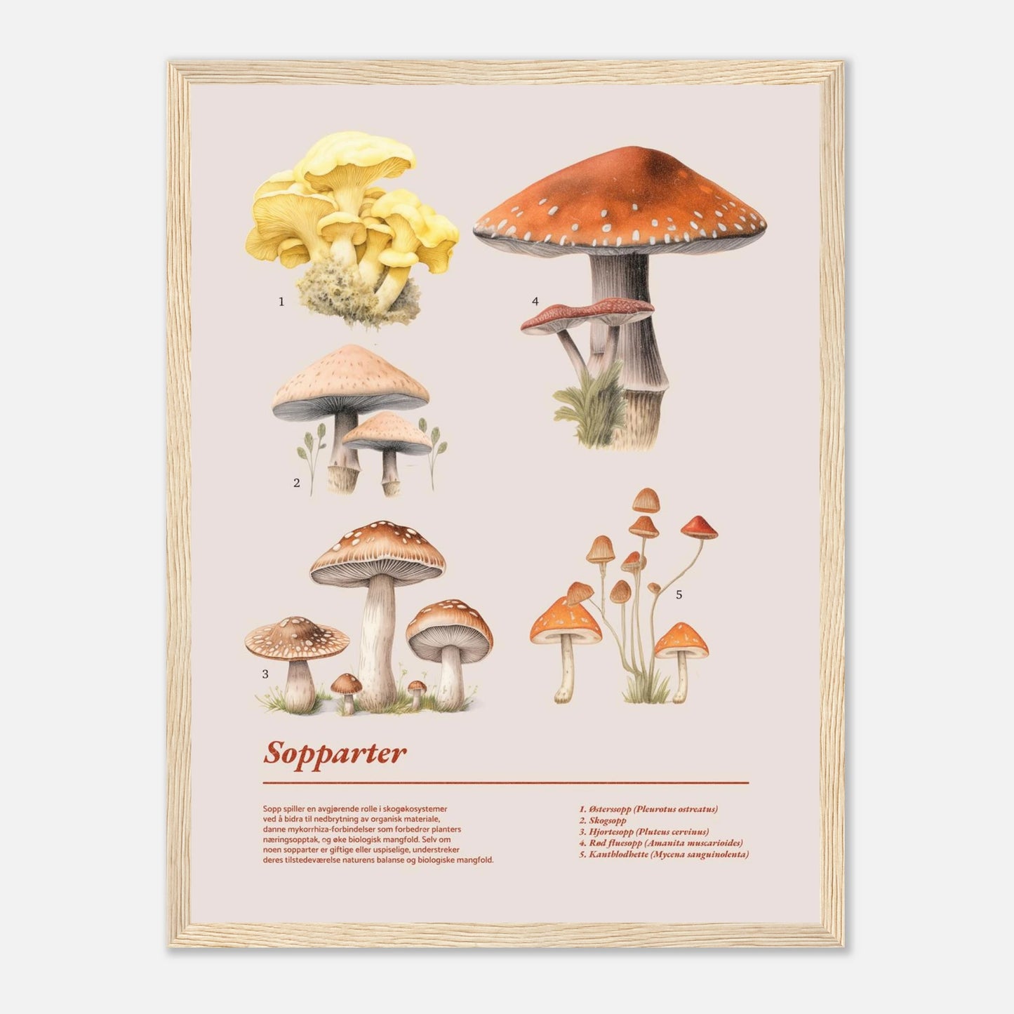 a3415fae-bae7-4b76-a1ef-8eae9772bf47