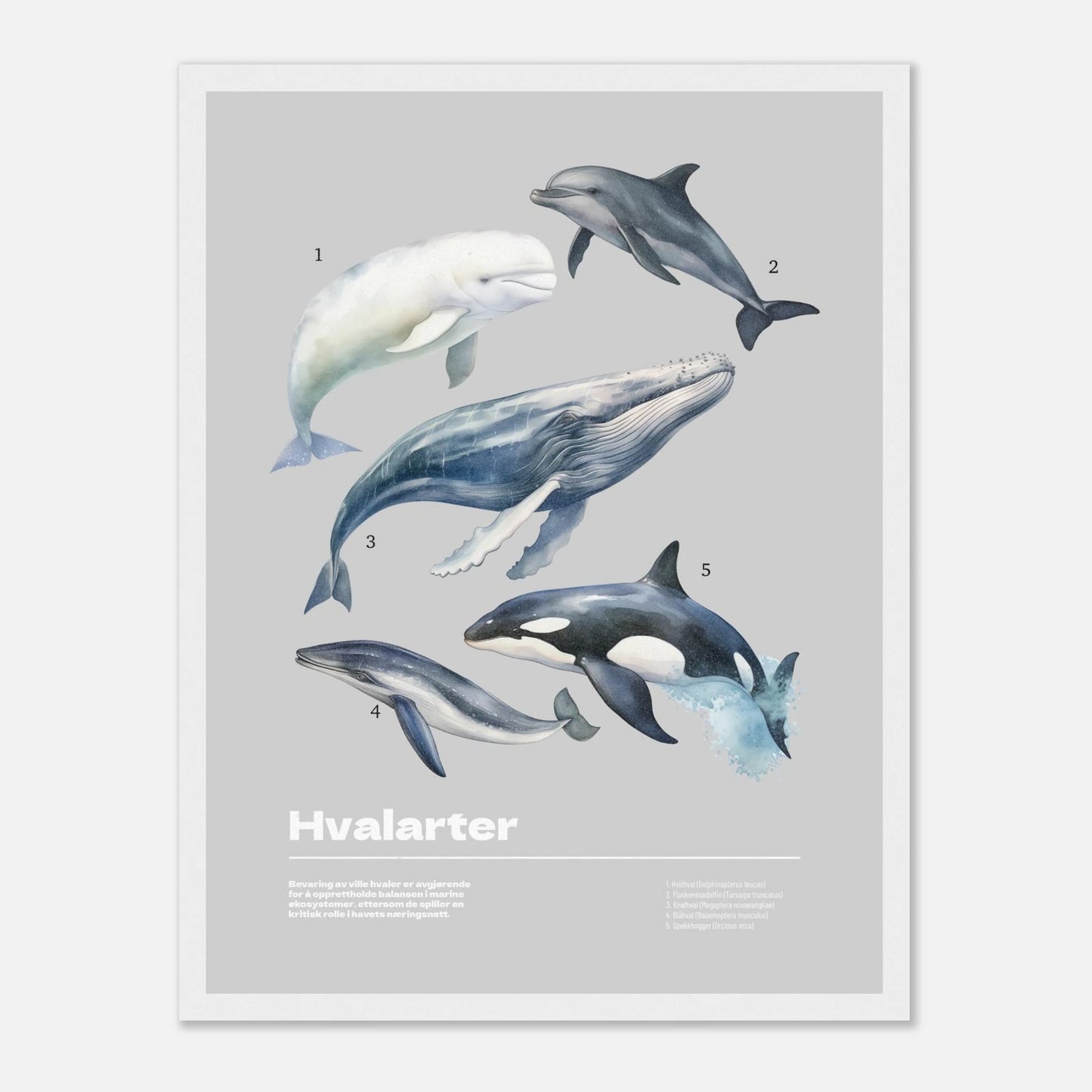 a616d1d2-df8a-47b0-972c-351a2d2a591a