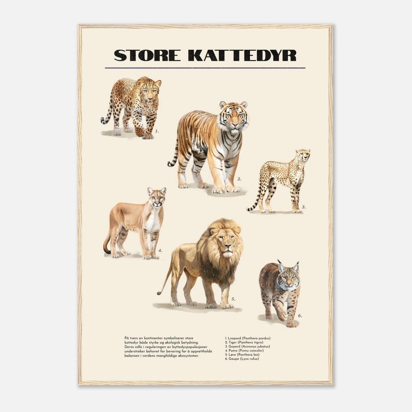 ac9d9937-cd24-417e-912e-342e97e54424