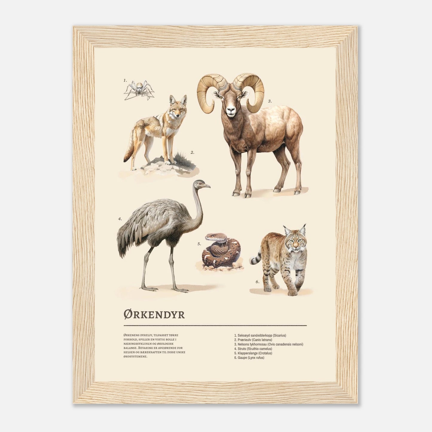 ad9cb7cb-8fce-45e9-8b20-a5d4f56241ed