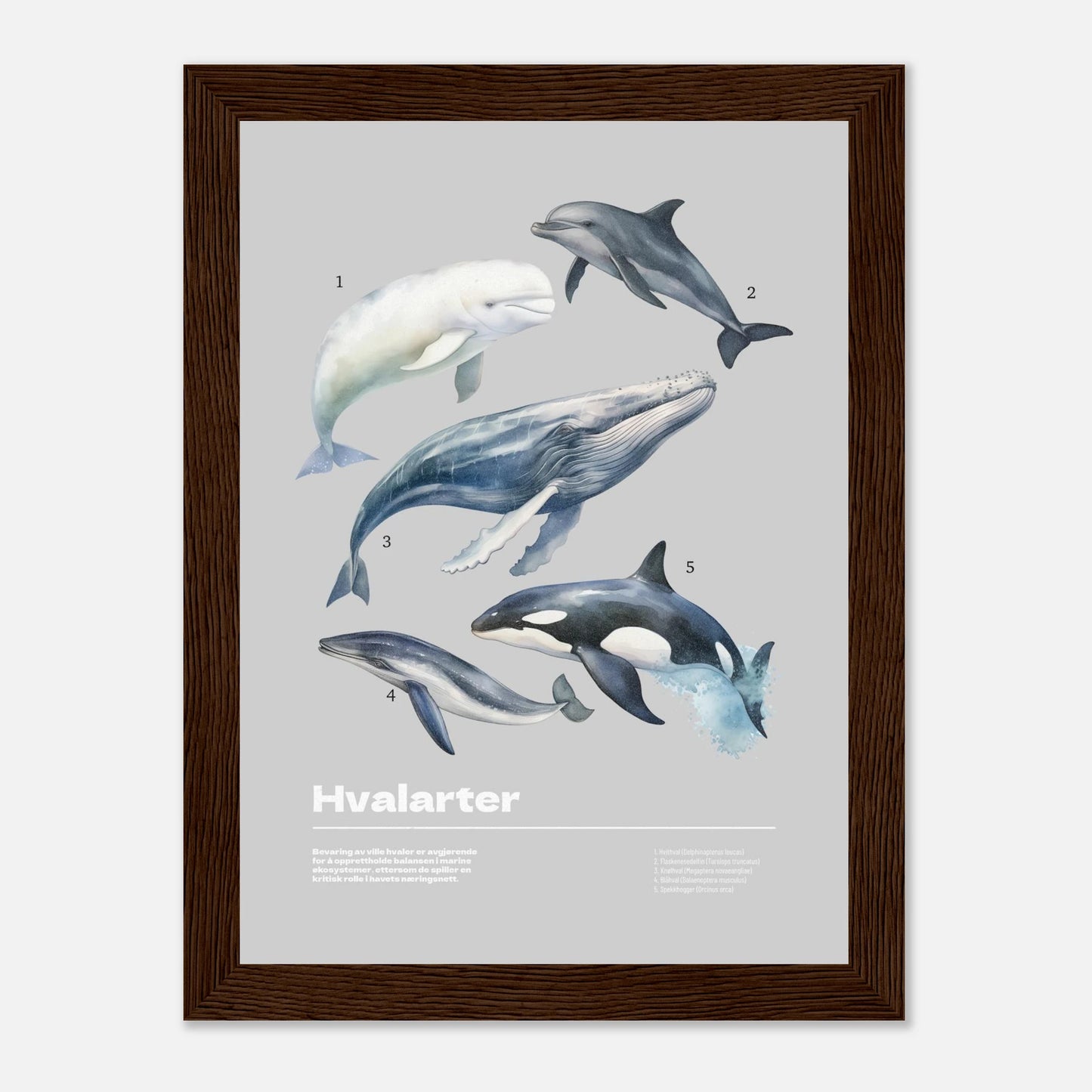 ae53284c-8e99-4bd0-ac21-2f1dc7bceb77