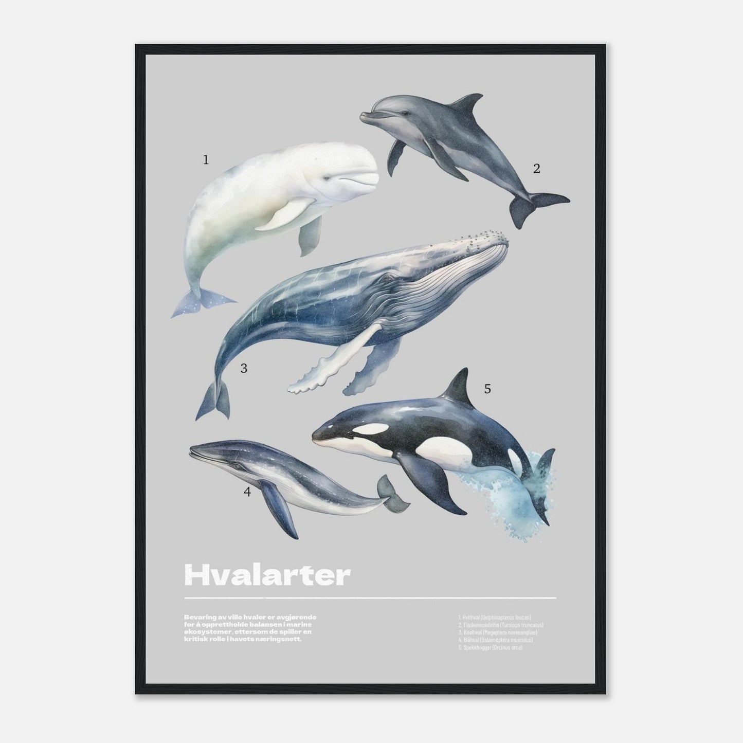 ae799b21-c203-4d28-9e6d-8d87d713aa4c