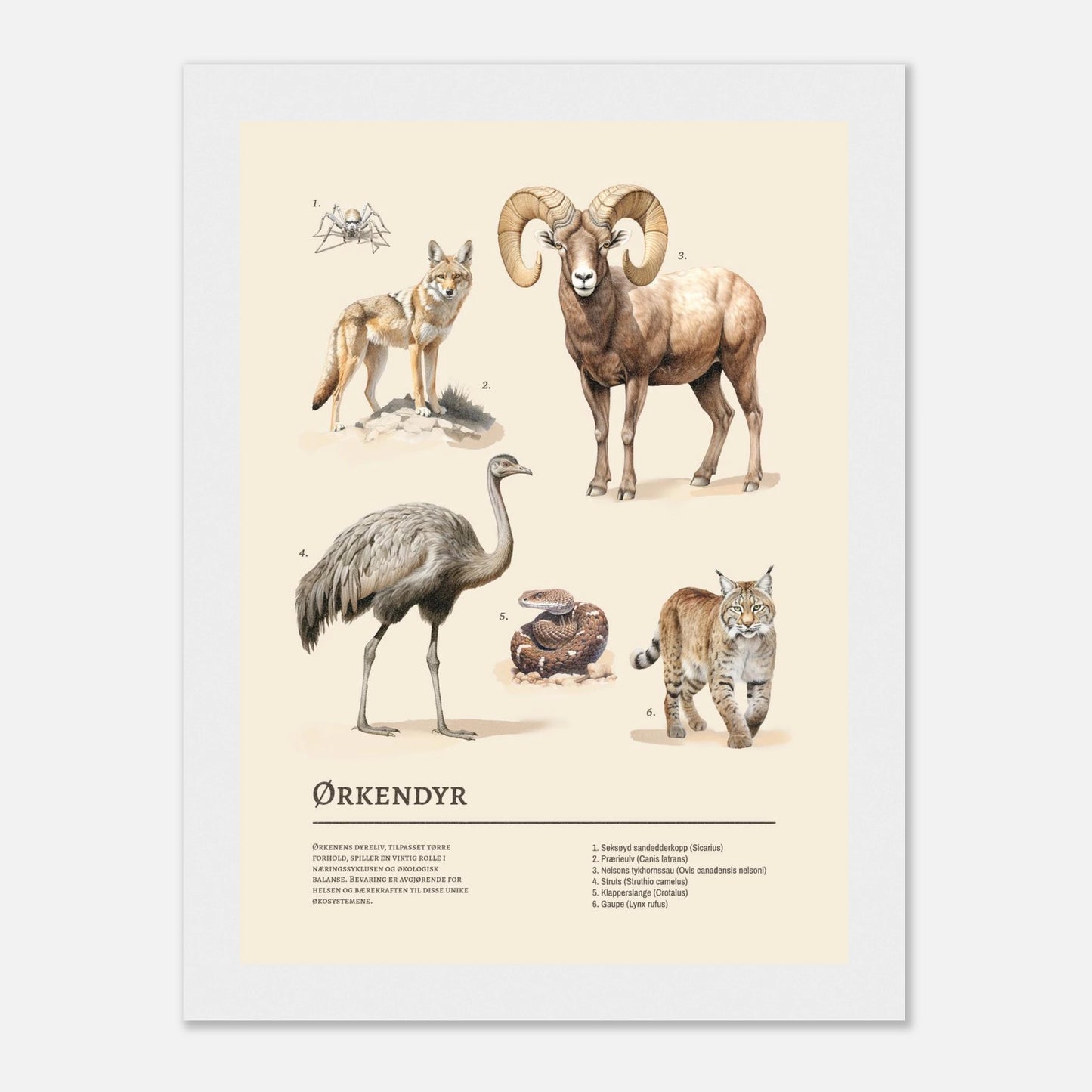 b07039b2-3911-45b7-ad1e-5ea75905bdaa