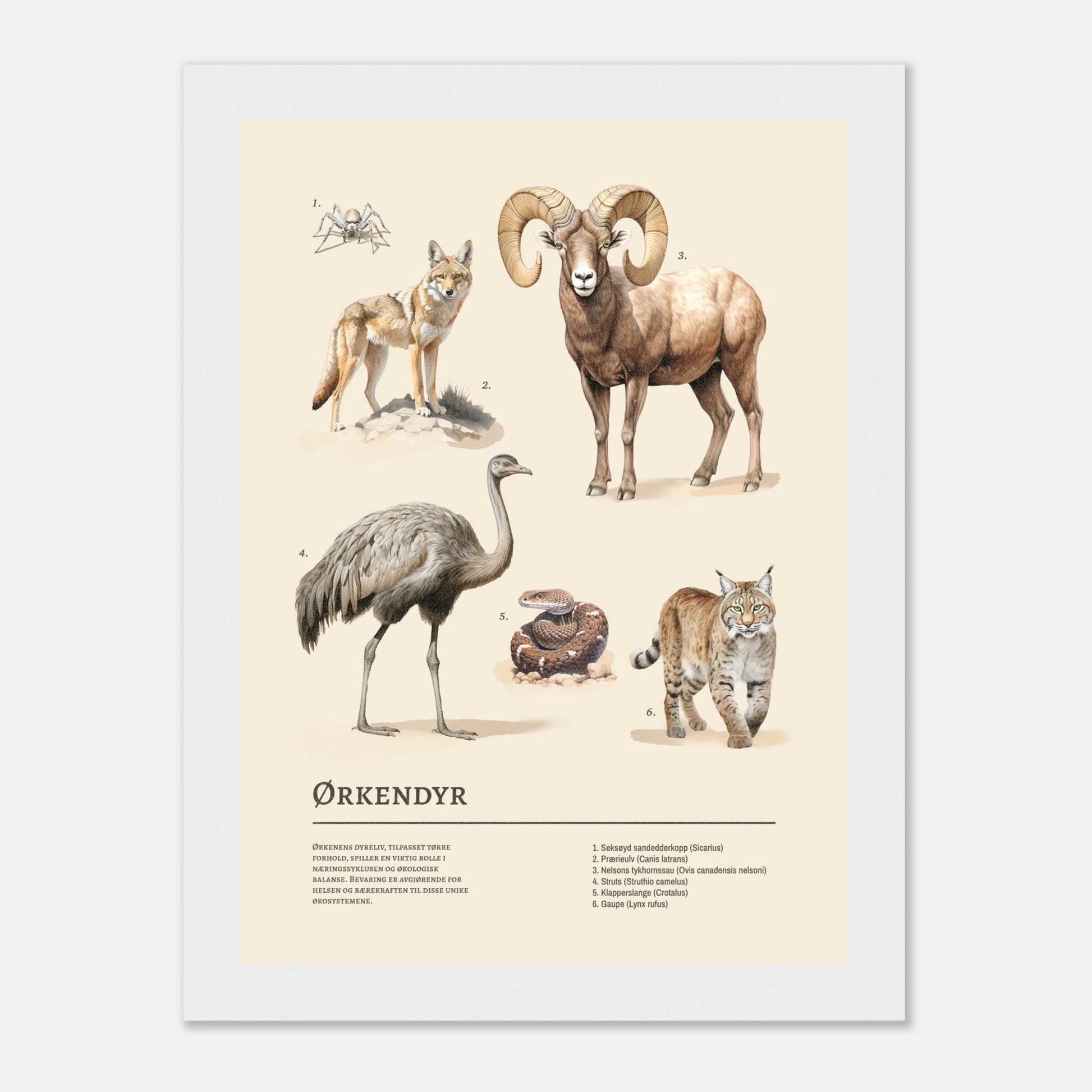 b07039b2-3911-45b7-ad1e-5ea75905bdaa