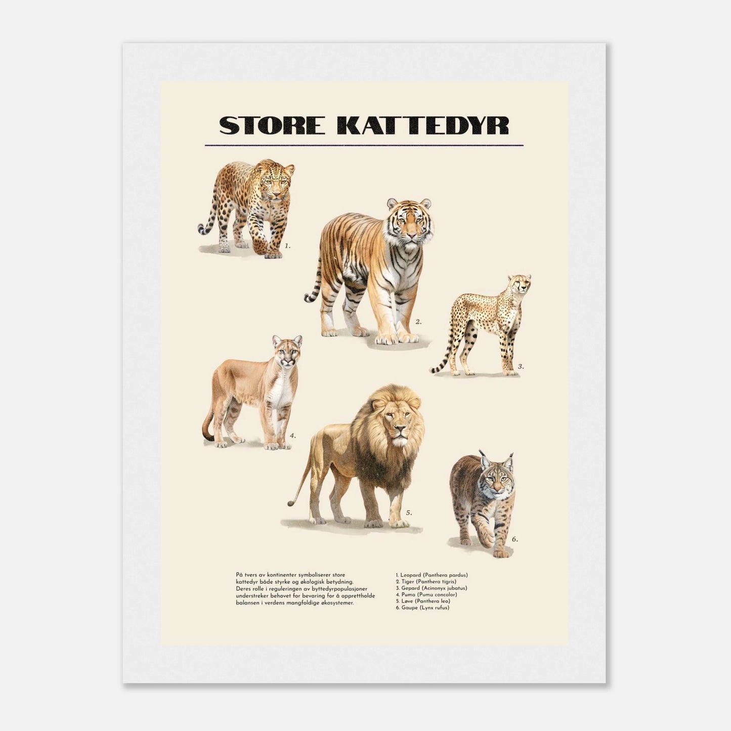 b4fe35ac-e220-4535-98a5-c0802e6b98fb