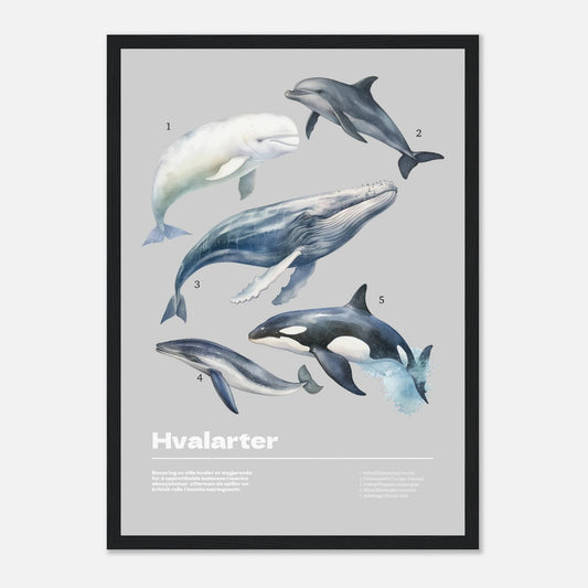 b64f7b33-9ca2-42d8-8bb2-5438b9950698