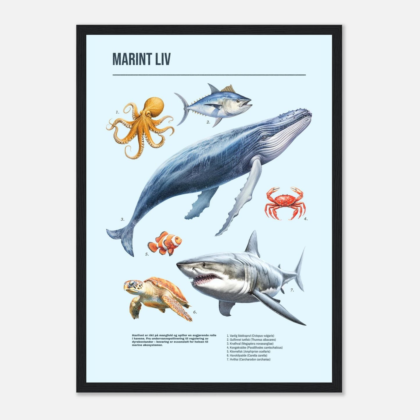 c2c6bbe6-d8a3-4b4b-adb9-3762454291dc