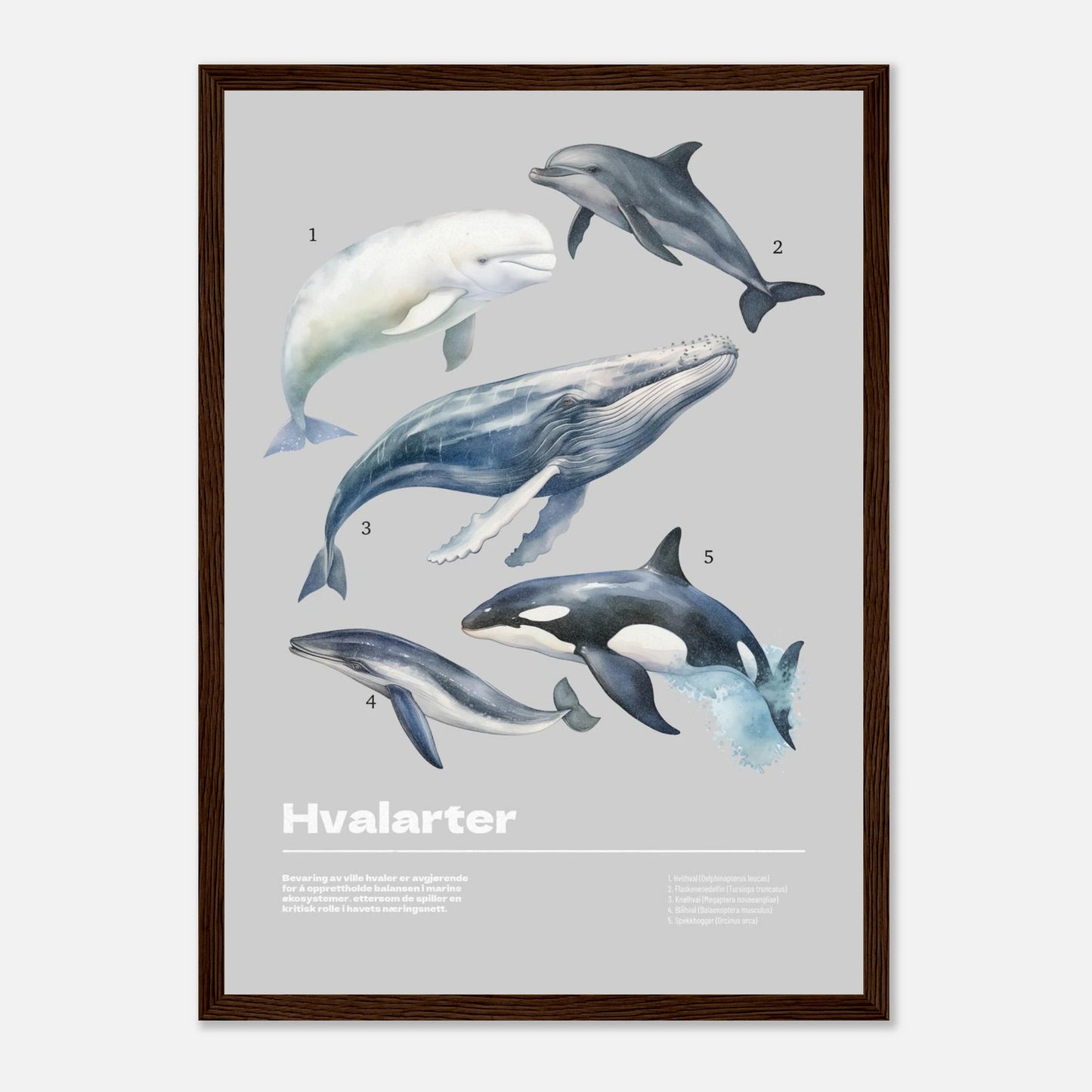 c32c5e2f-13f8-4f7d-9515-e31c32fba58c