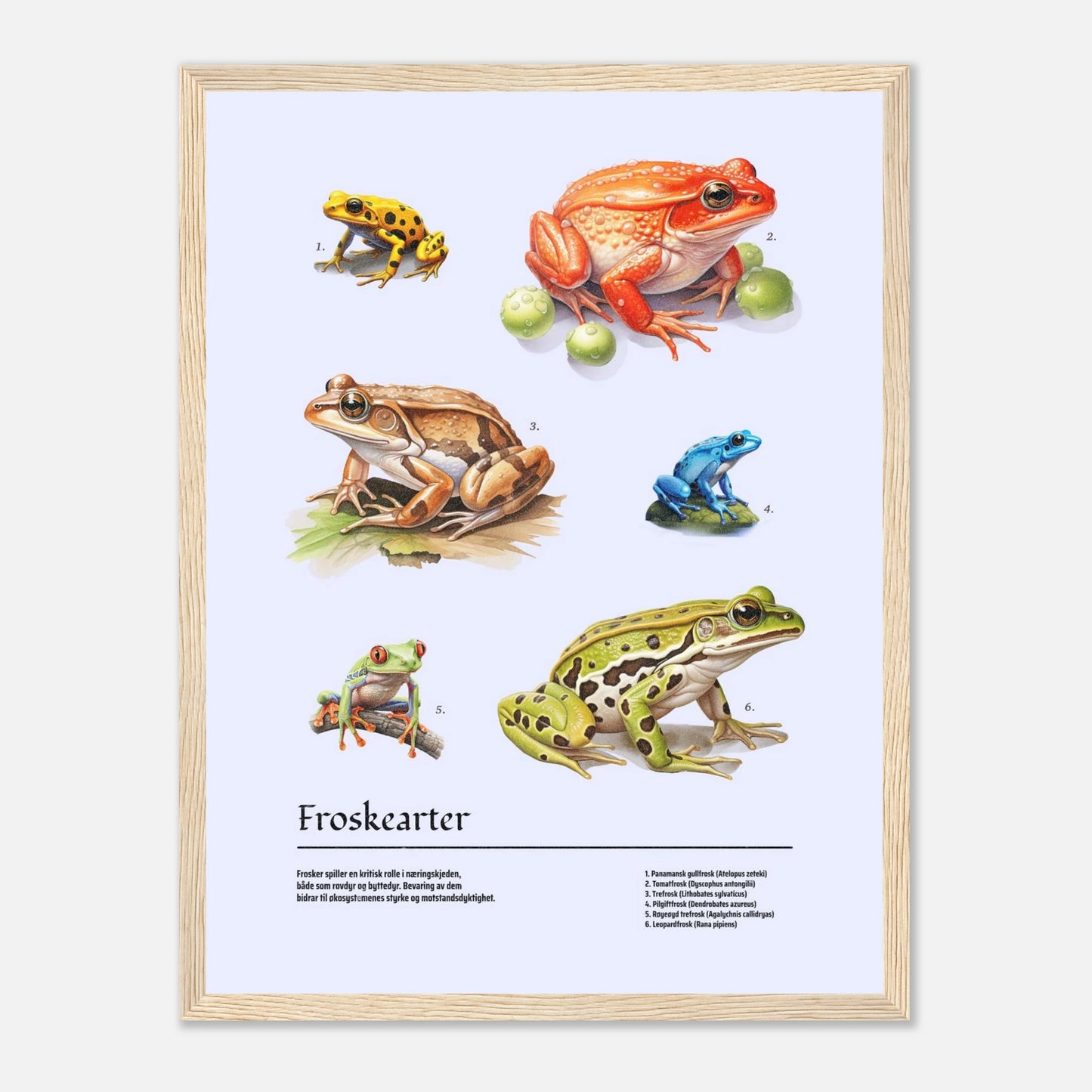 c8bc7cd8-a367-49aa-bbdd-a3fbfb099937