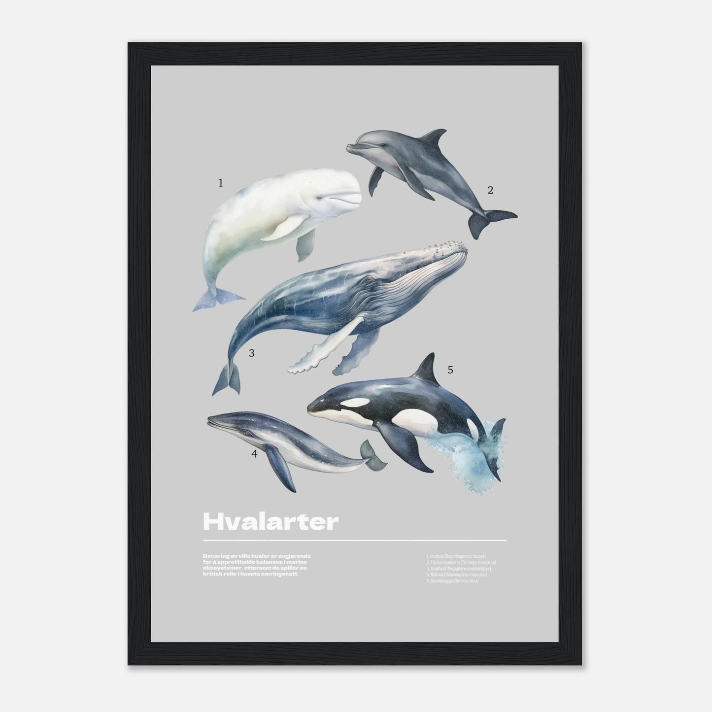 d1406db1-d47c-4987-996c-82299fb94a18